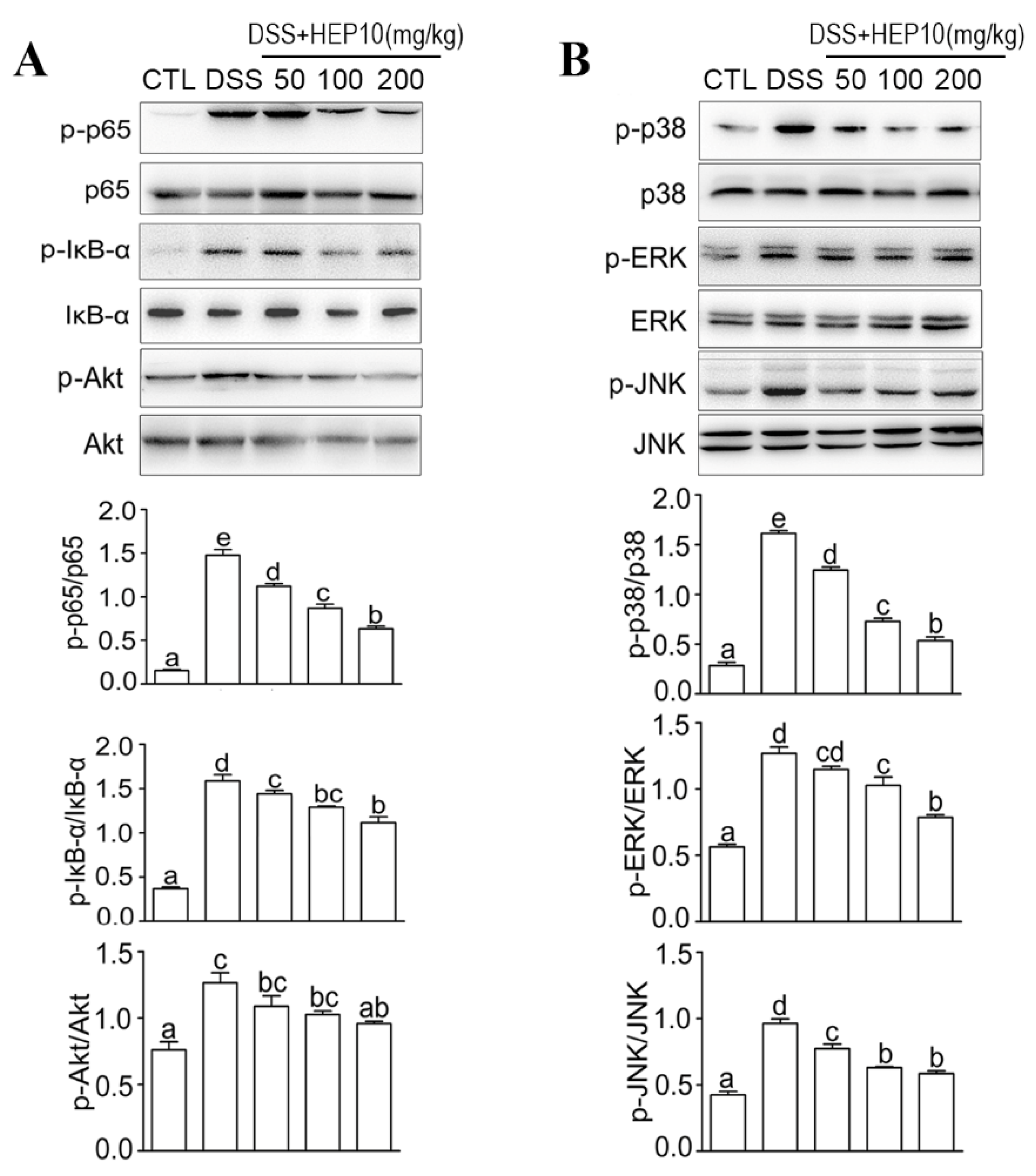 Nutrients 15 00739 g007
