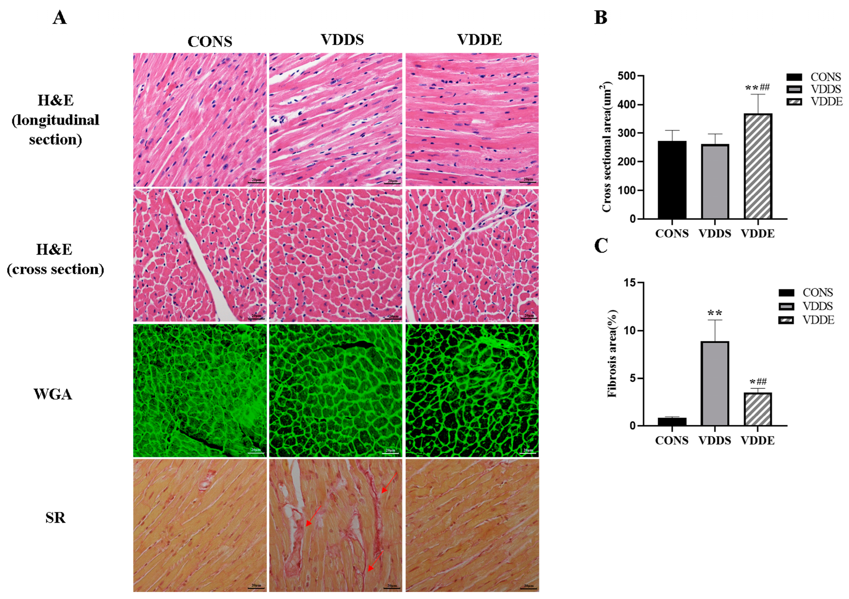 Nutrients 15 00741 g004 Nutrients 15 00741 g004