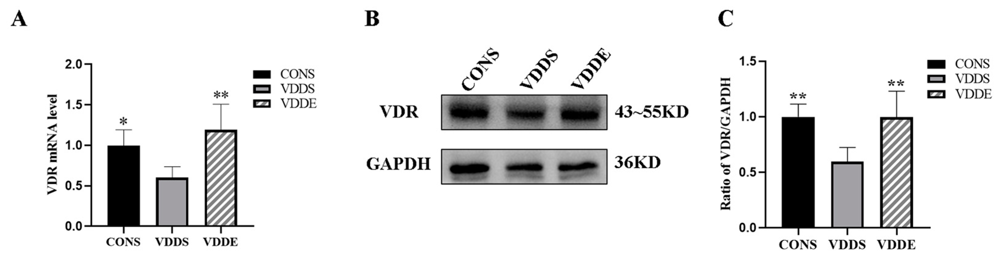 Nutrients 15 00741 g005 Nutrients 15 00741 g005