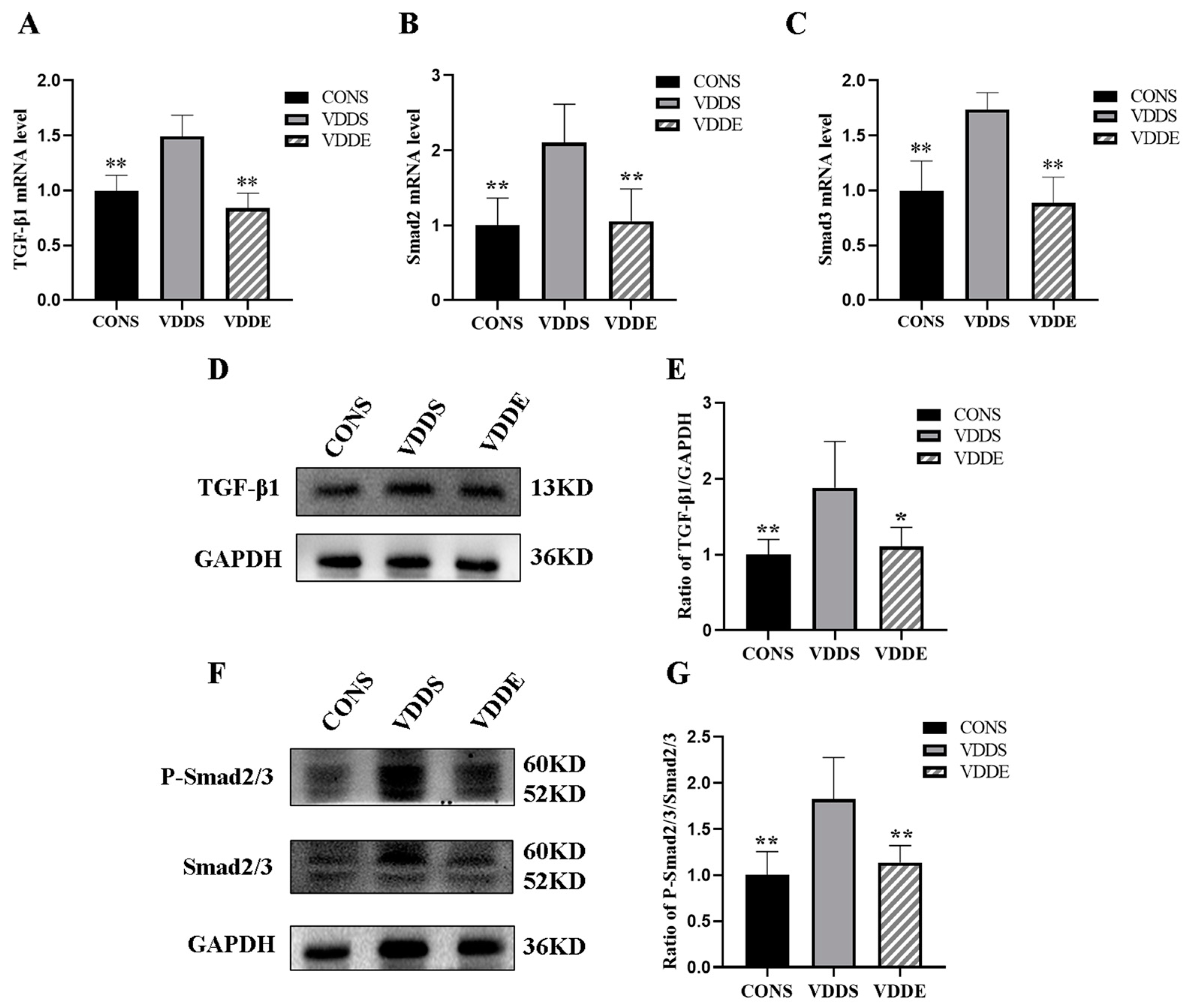 Nutrients 15 00741 g007 Nutrients 15 00741 g007