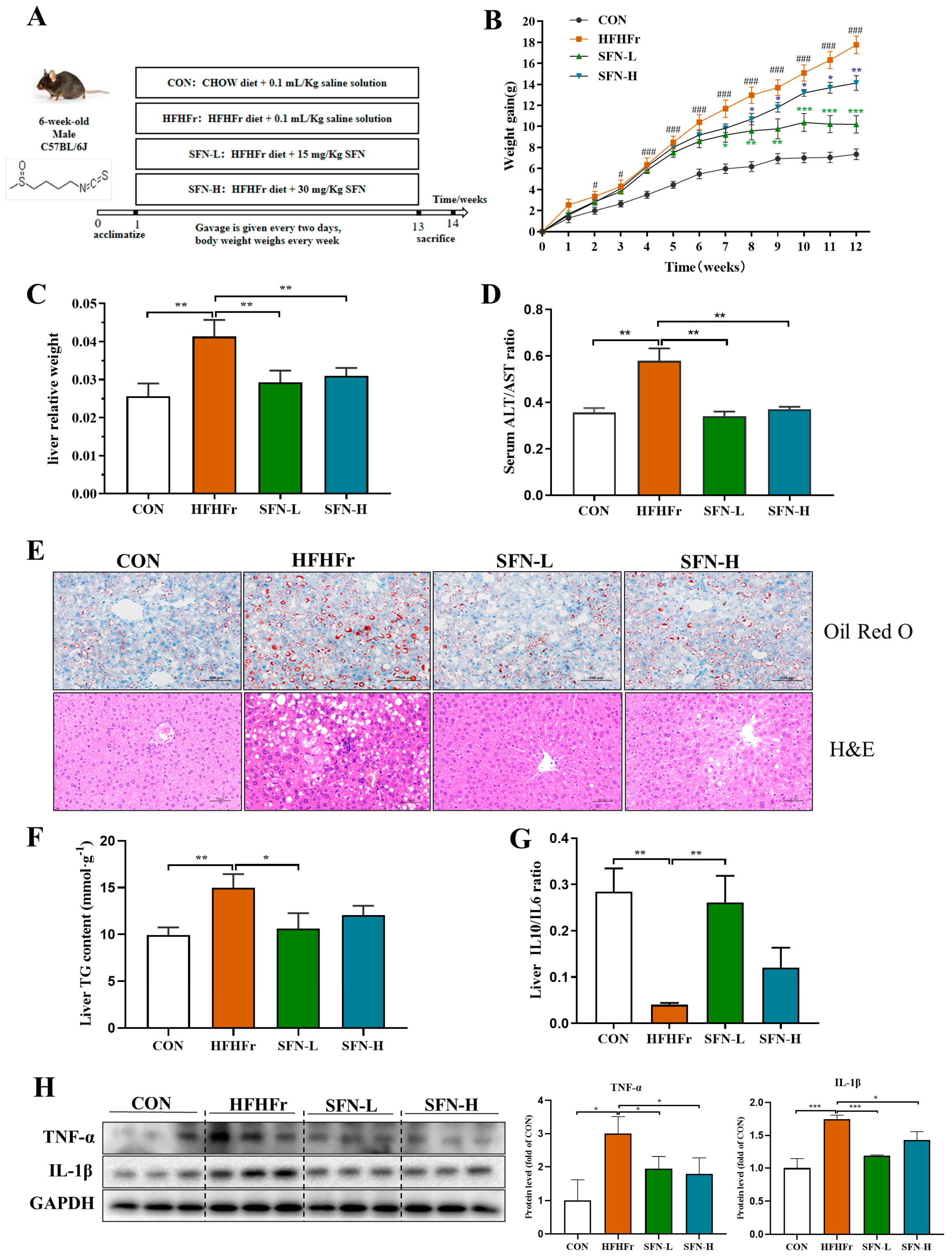 Nutrients 15 00743 g001