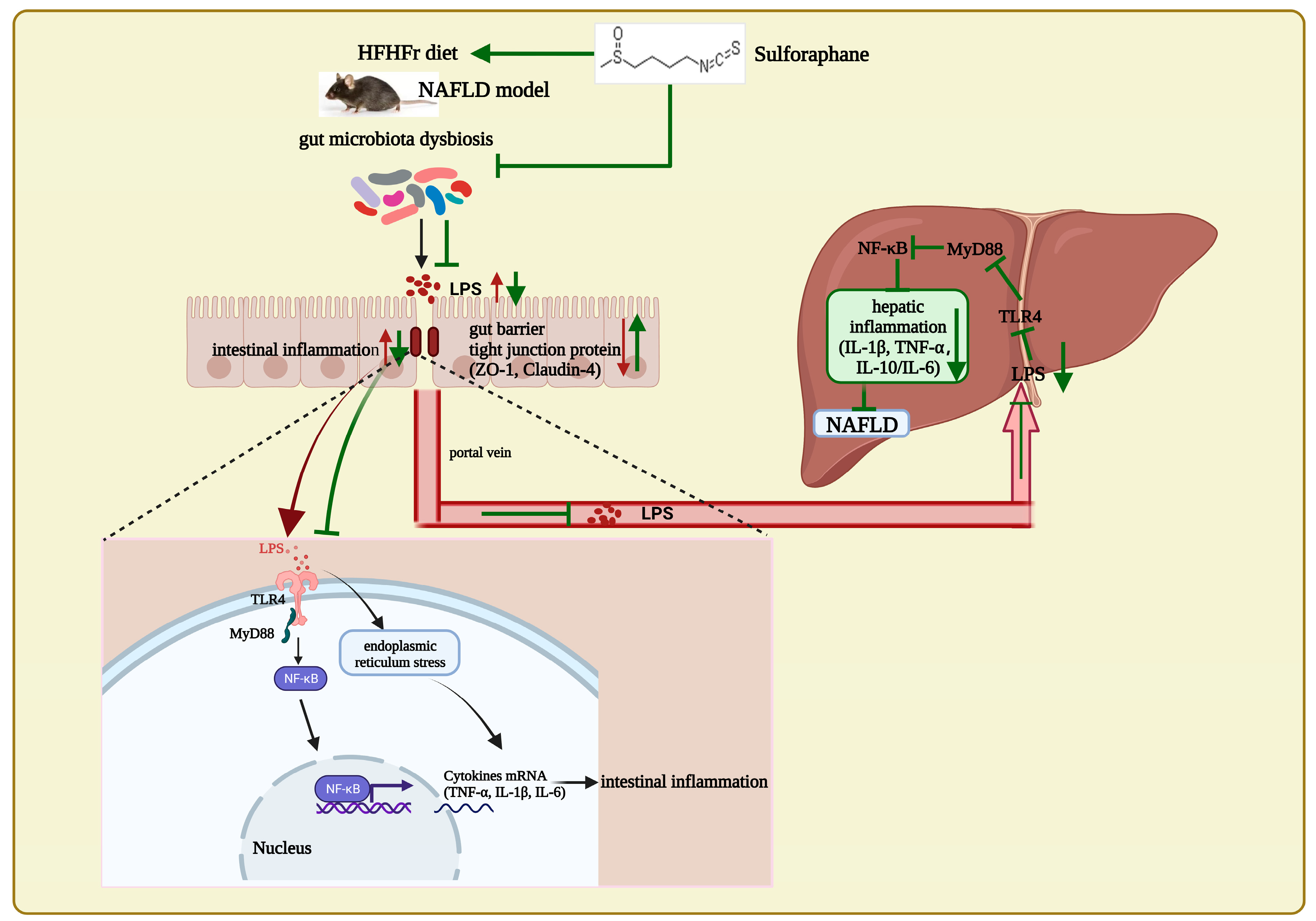 Nutrients 15 00743 g007
