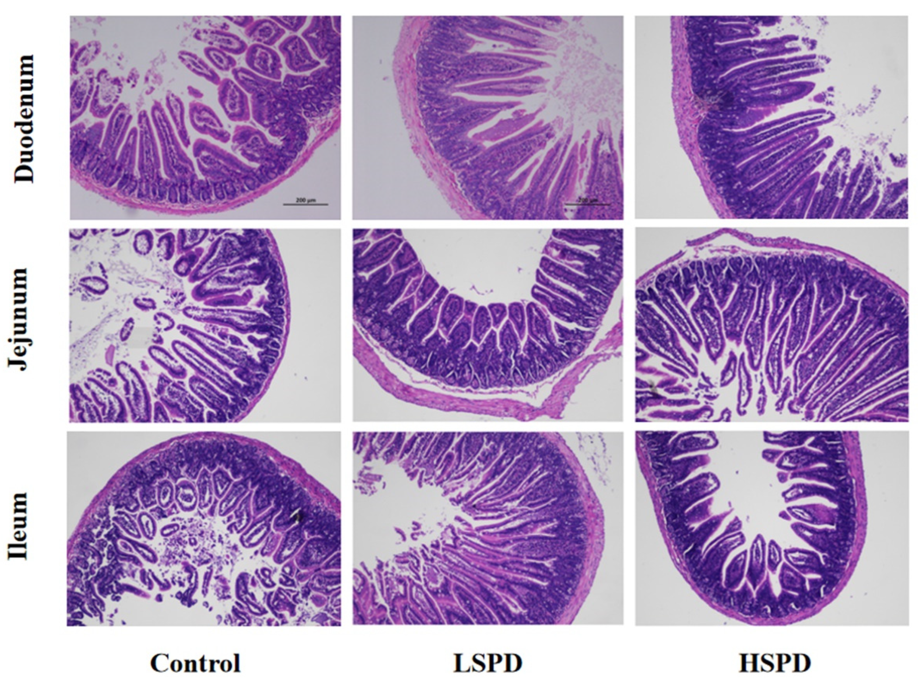 Nutrients 15 00744 g002 Nutrients 15 00744 g002