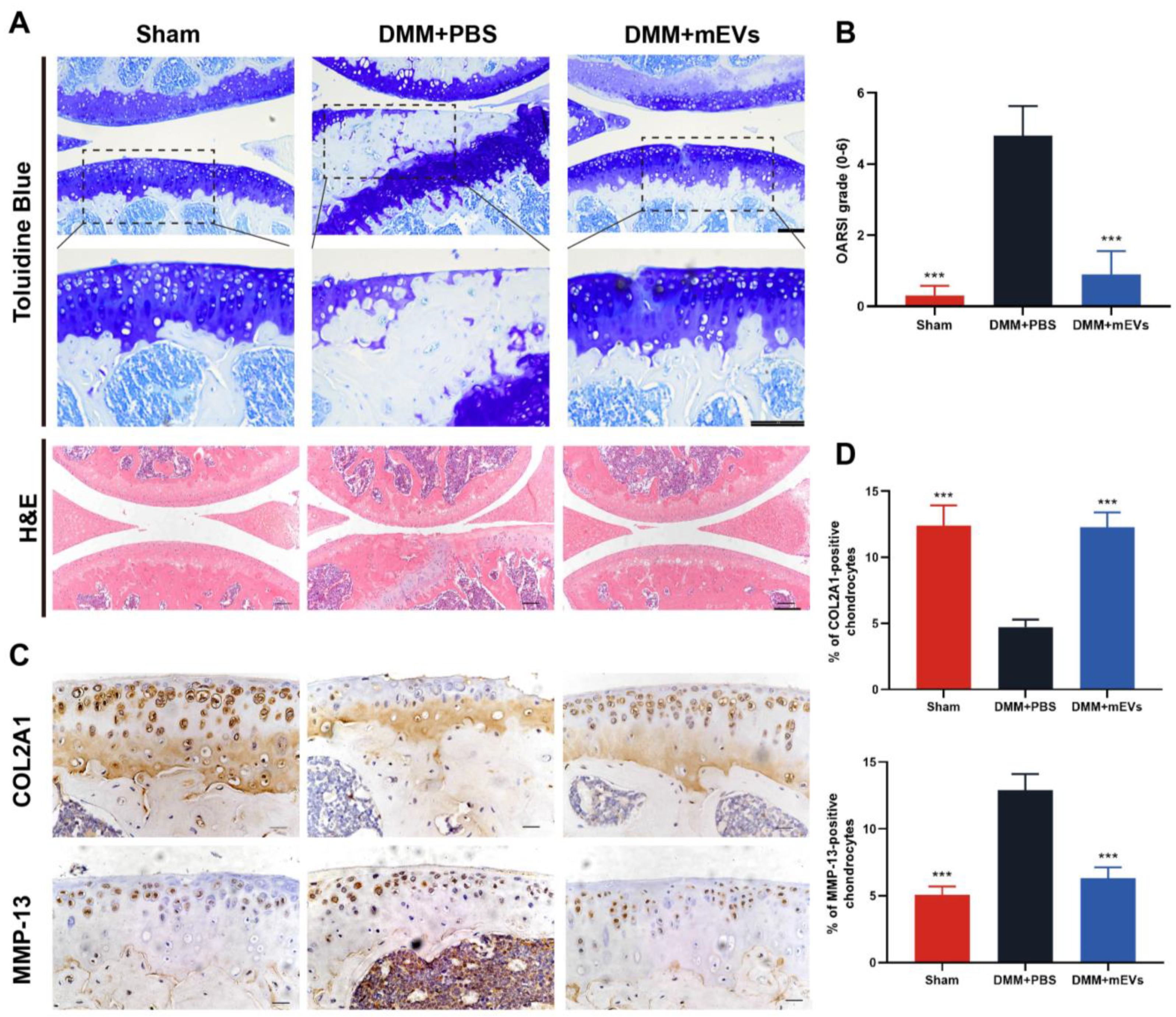 Nutrients 15 00747 g004 Nutrients 15 00747 g004