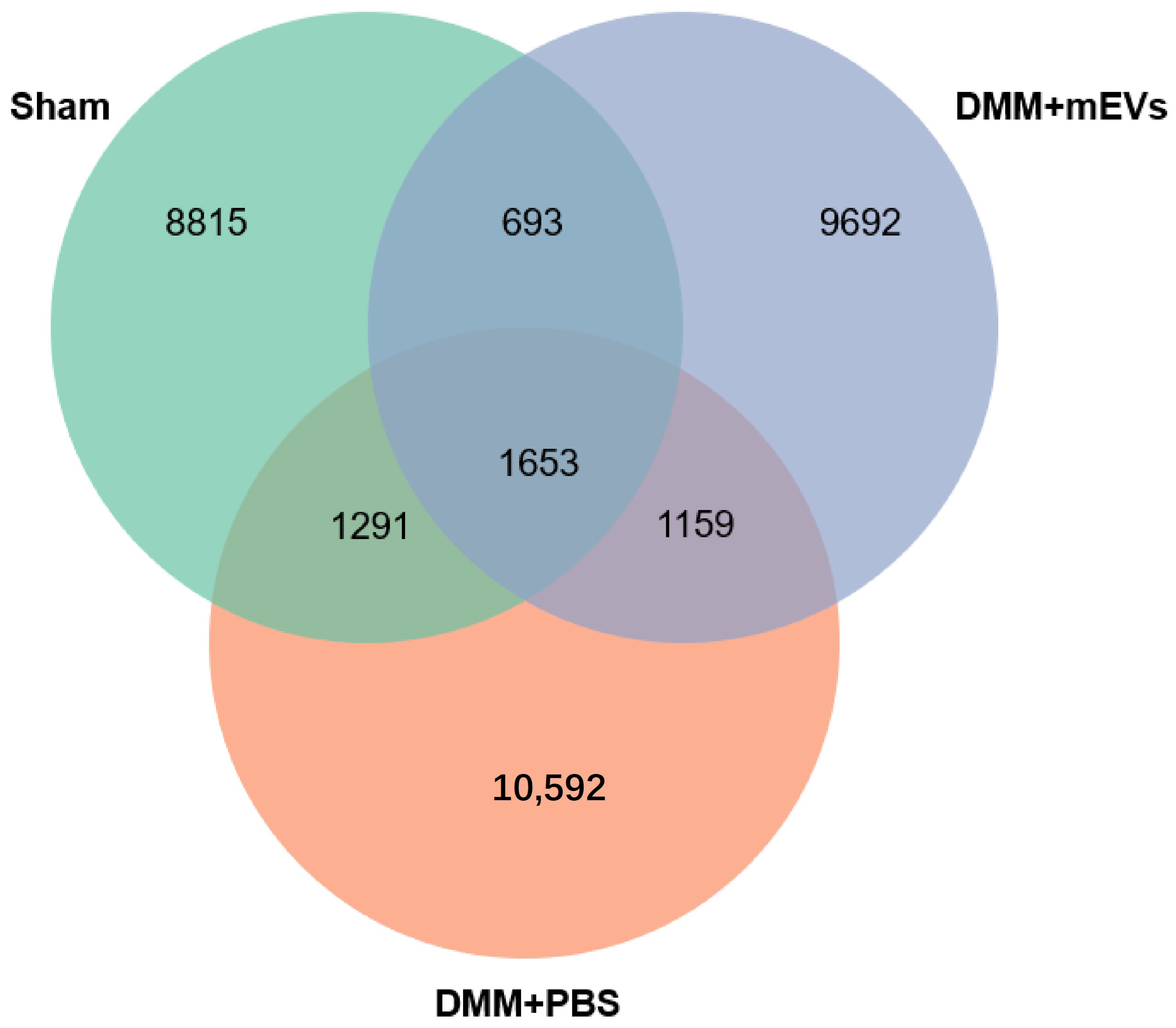 Nutrients 15 00747 g005 Nutrients 15 00747 g005