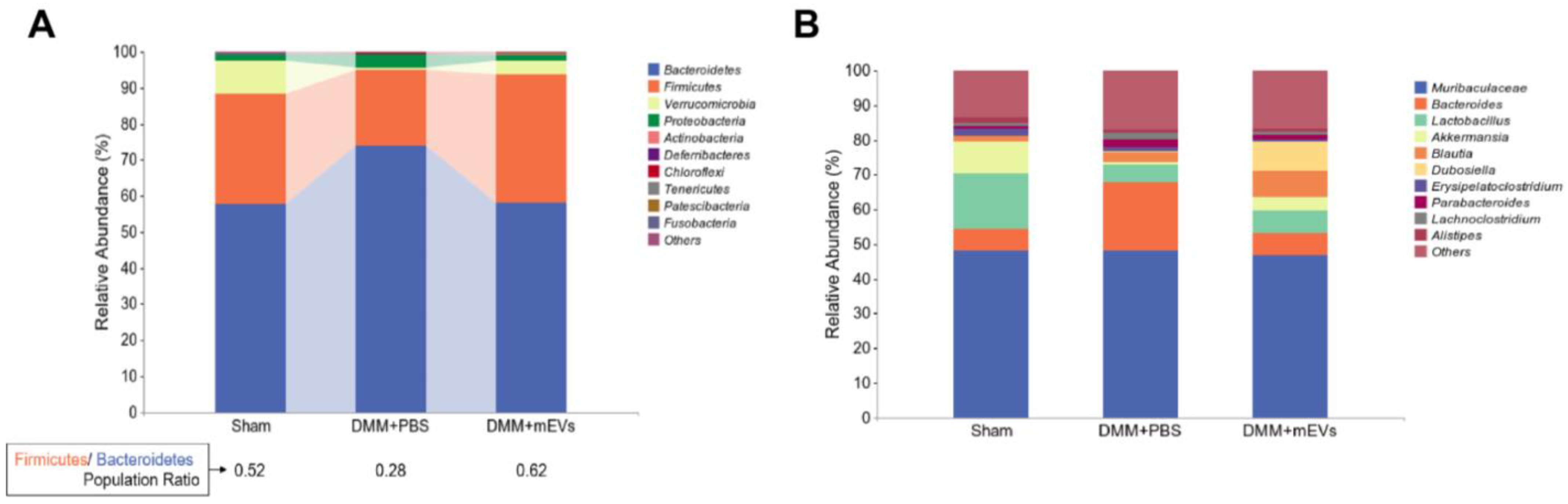 Nutrients 15 00747 g007 Nutrients 15 00747 g007