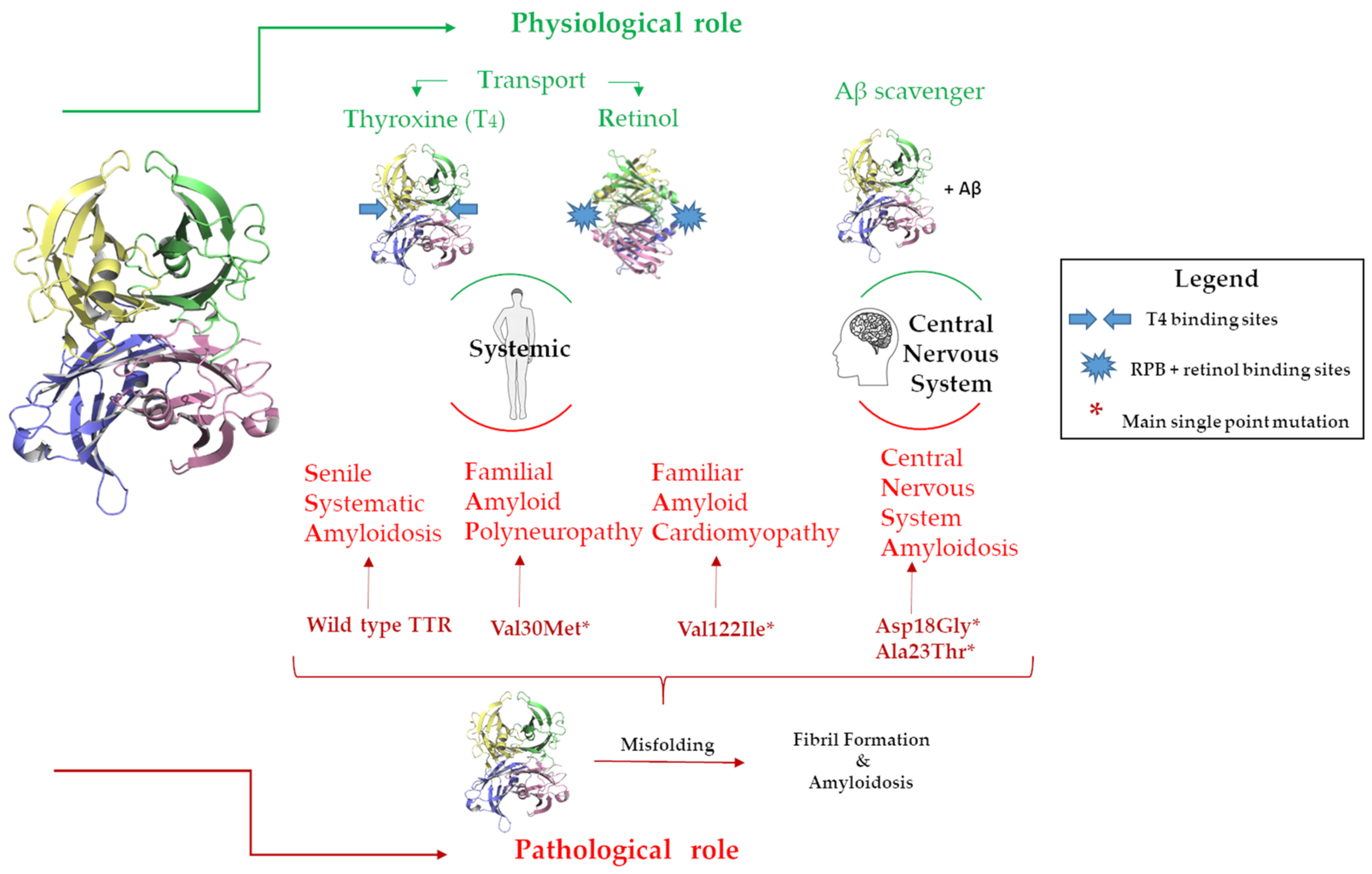 Nutrients 15 00749 g002 Nutrients 15 00749 g002