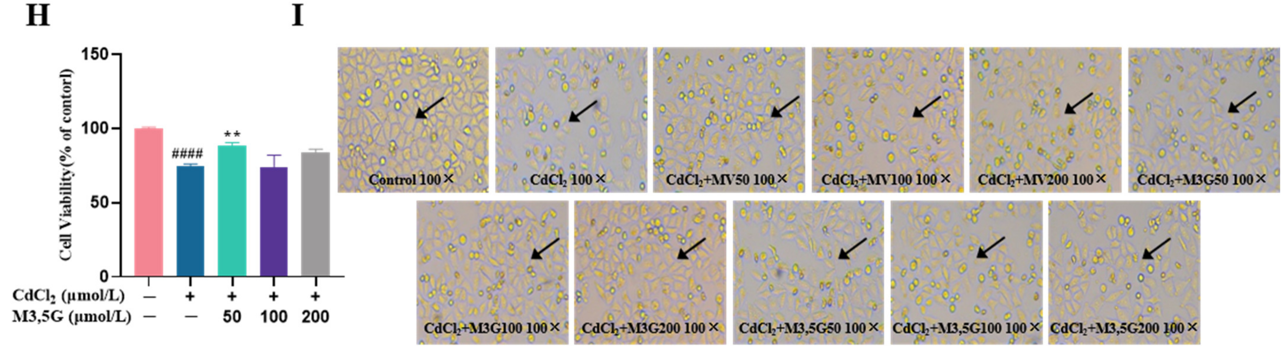 Nutrients 15 00753 g001b Nutrients 15 00753 g001b