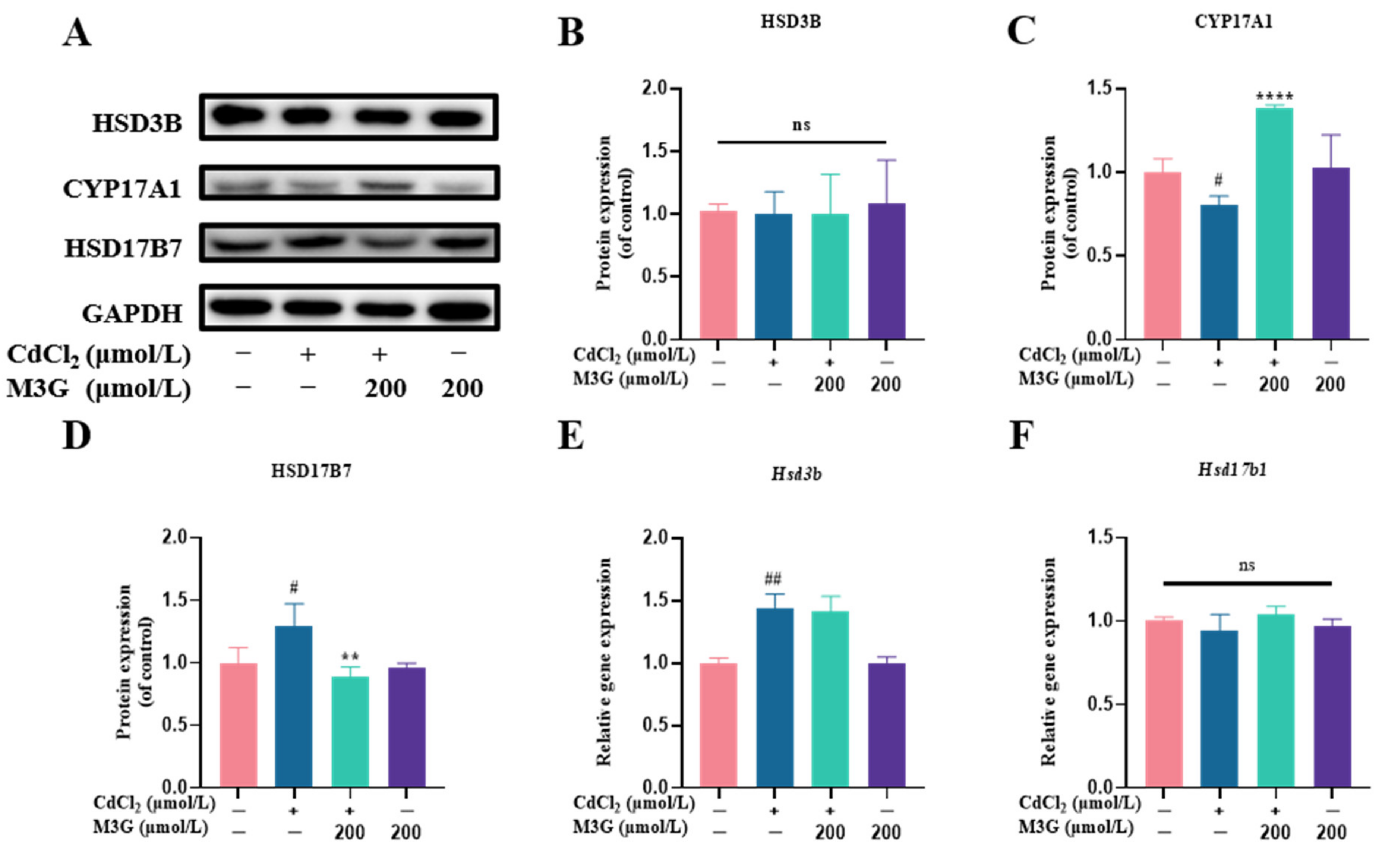 Nutrients 15 00753 g007a Nutrients 15 00753 g007a