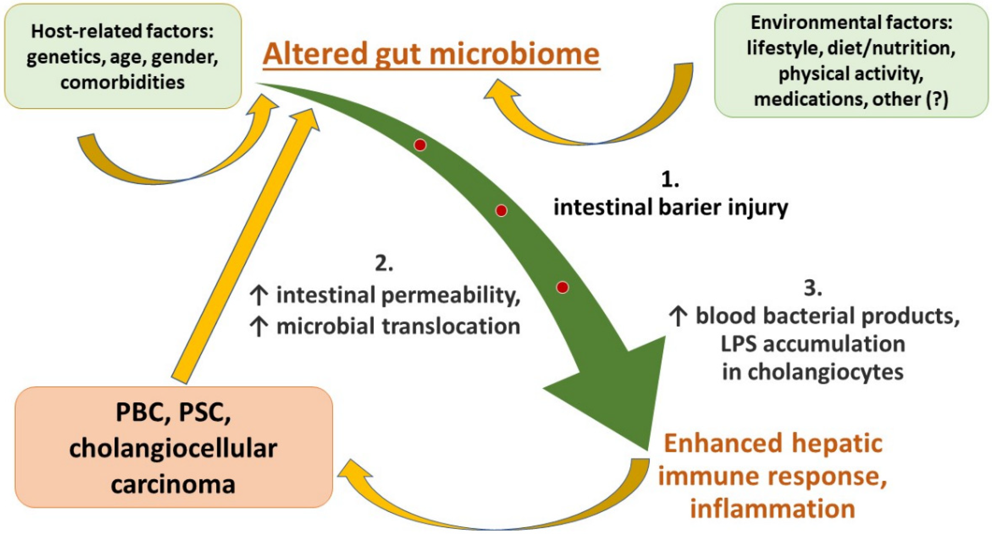 Nutrients 15 00760 g001 Nutrients 15 00760 g001