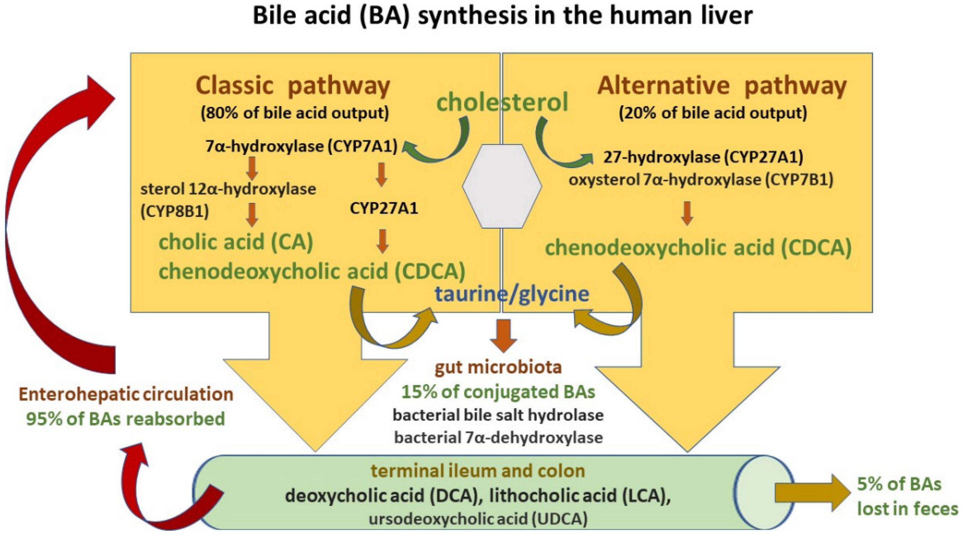 Nutrients 15 00760 g002 Nutrients 15 00760 g002