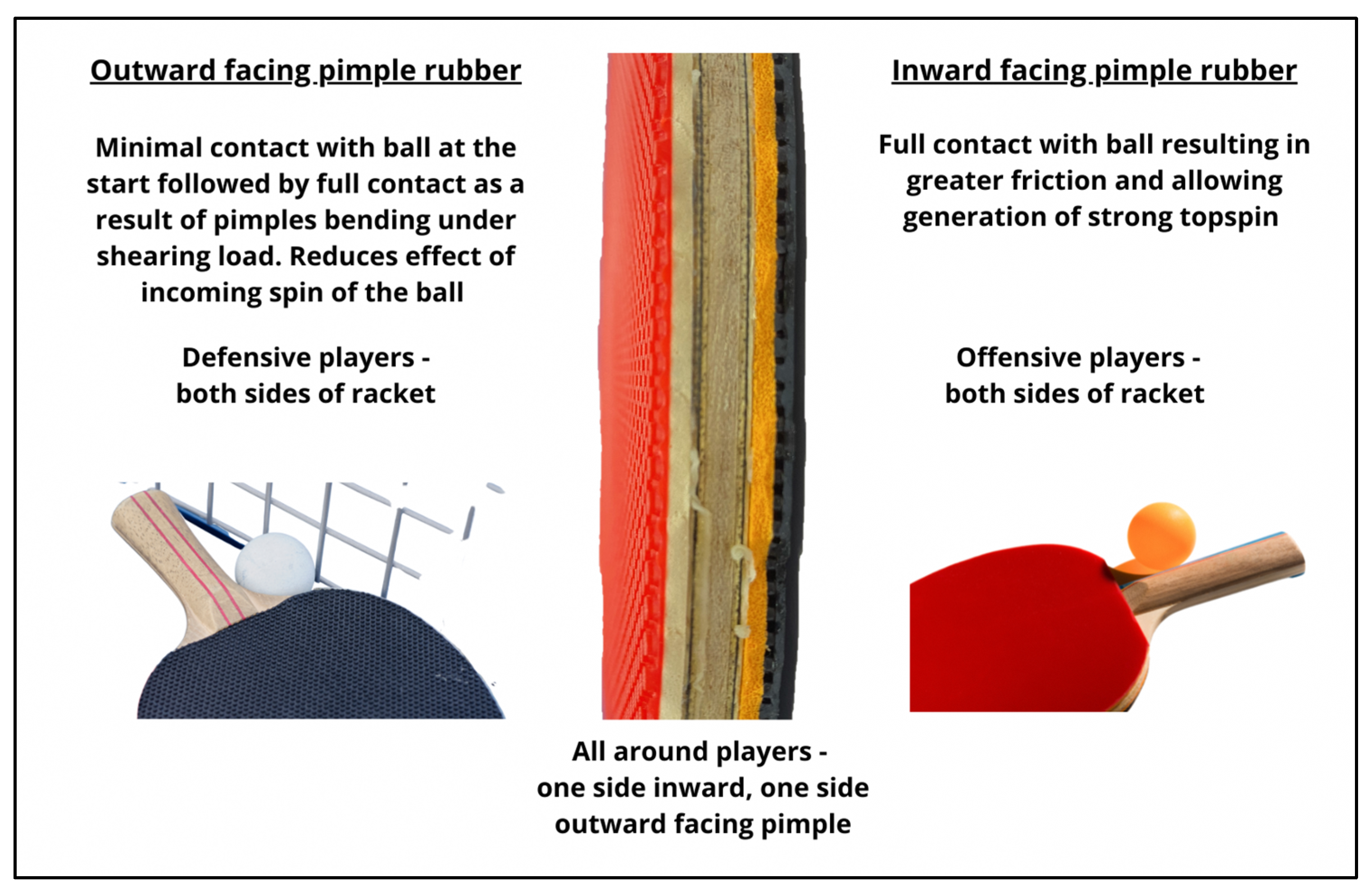 Nutrients 15 00775 g002 Nutrients 15 00775 g002