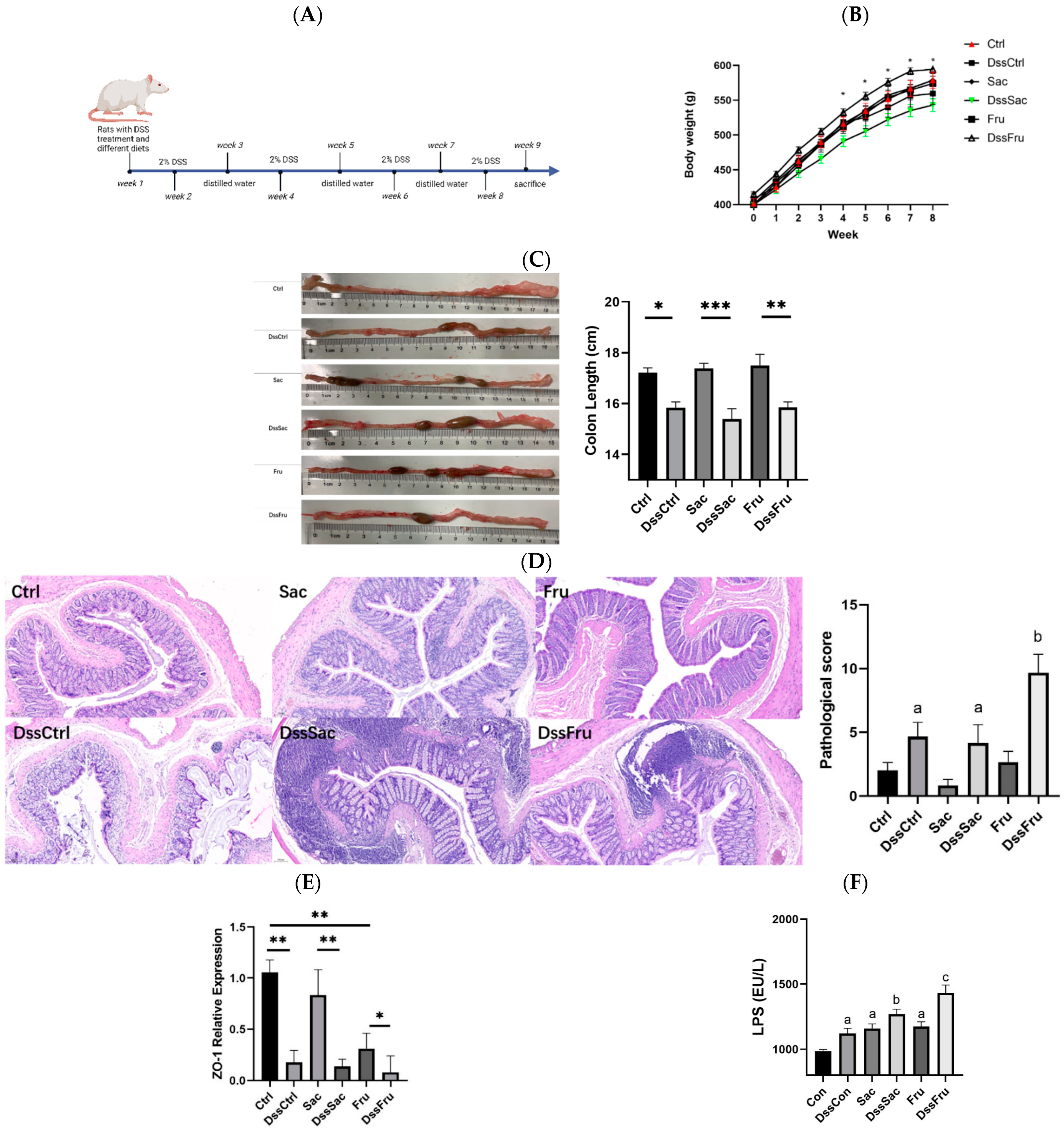 Nutrients 15 00782 g001 Nutrients 15 00782 g001