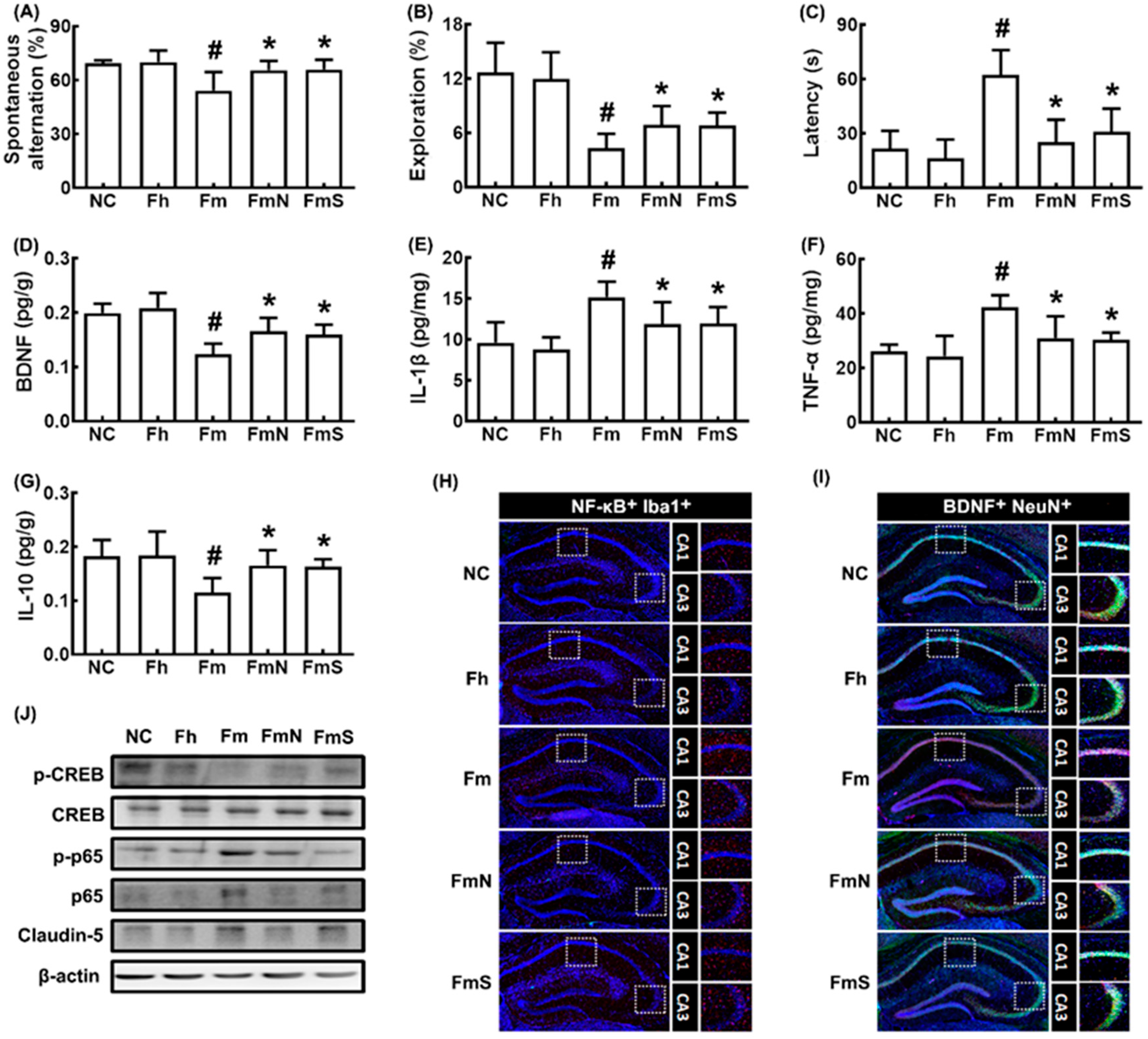 Nutrients 15 00790 g001