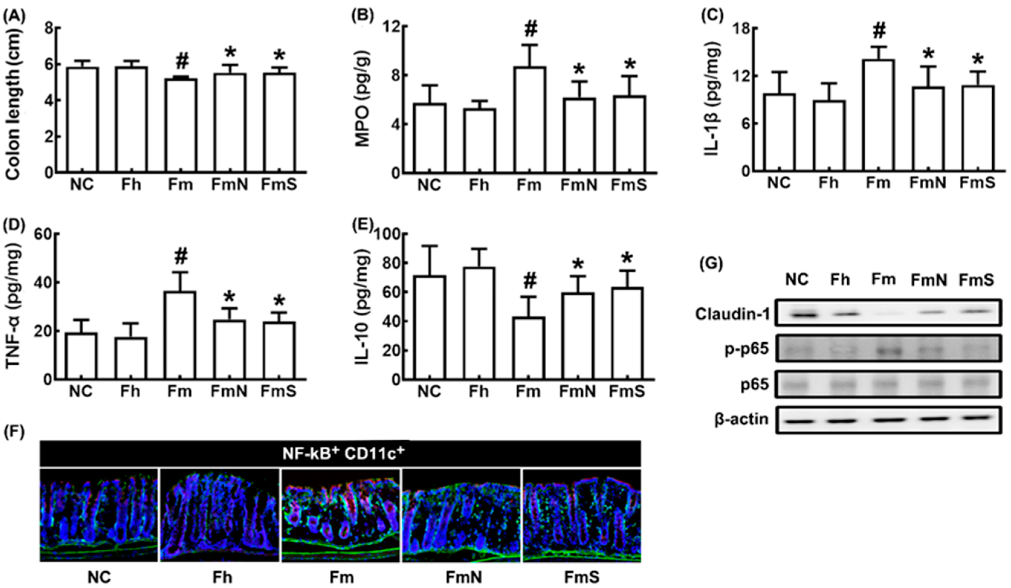 Nutrients 15 00790 g002