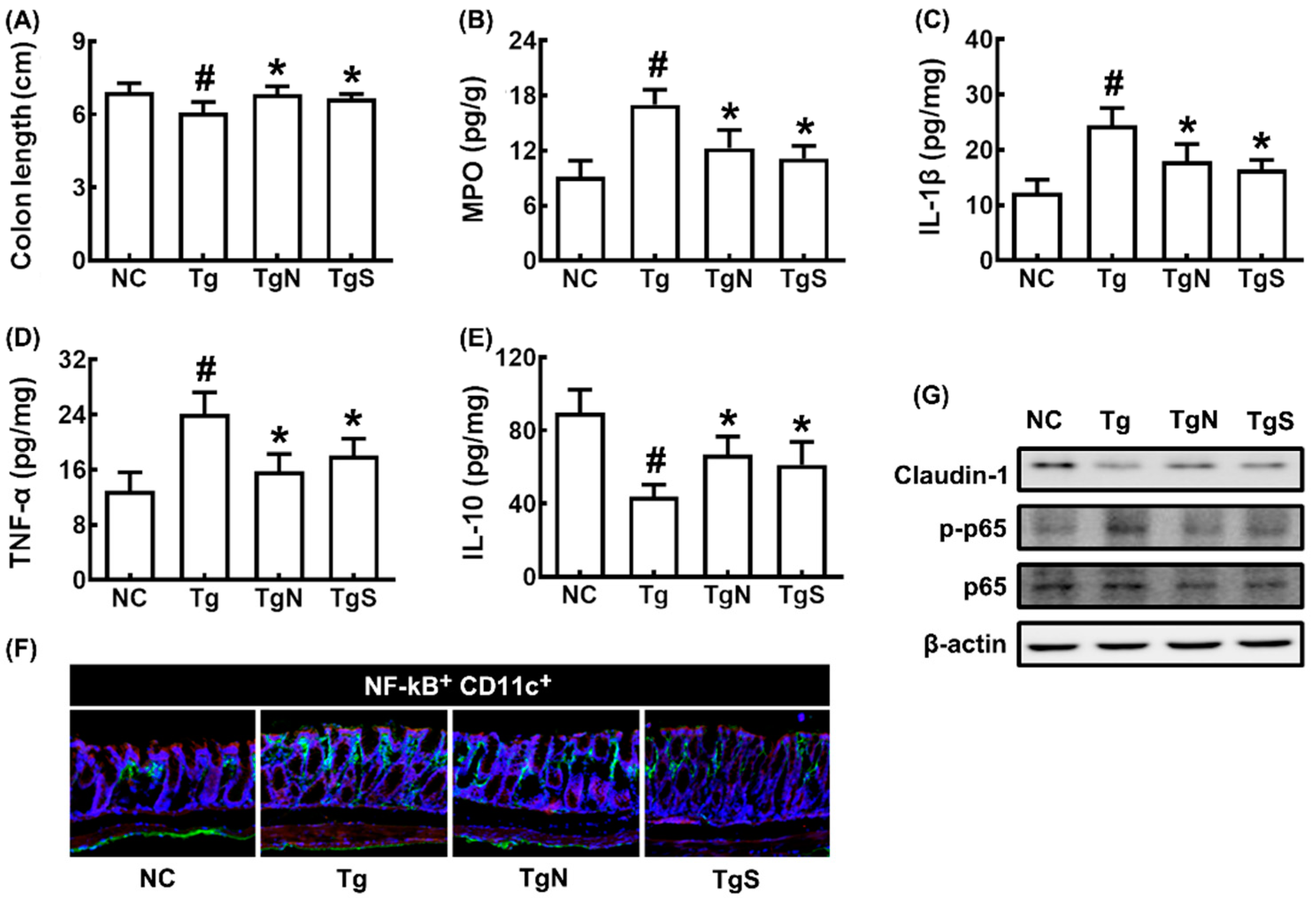 Nutrients 15 00790 g007