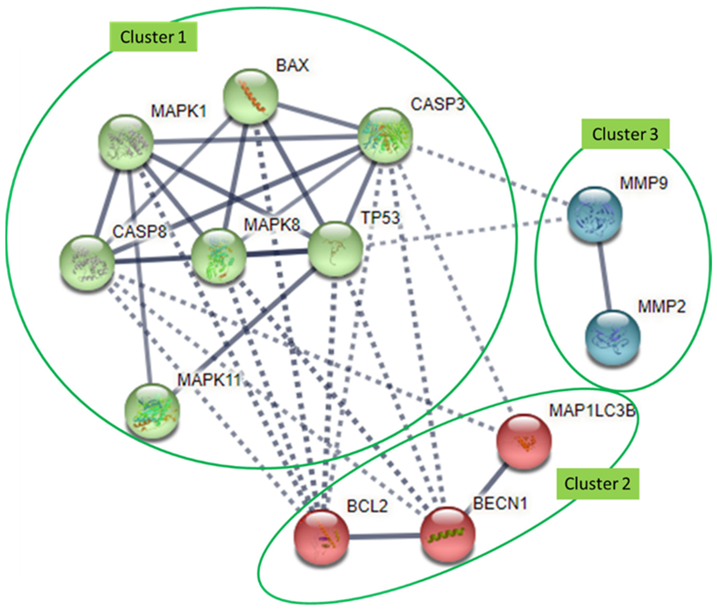 Nutrients 15 00797 g002 Nutrients 15 00797 g002