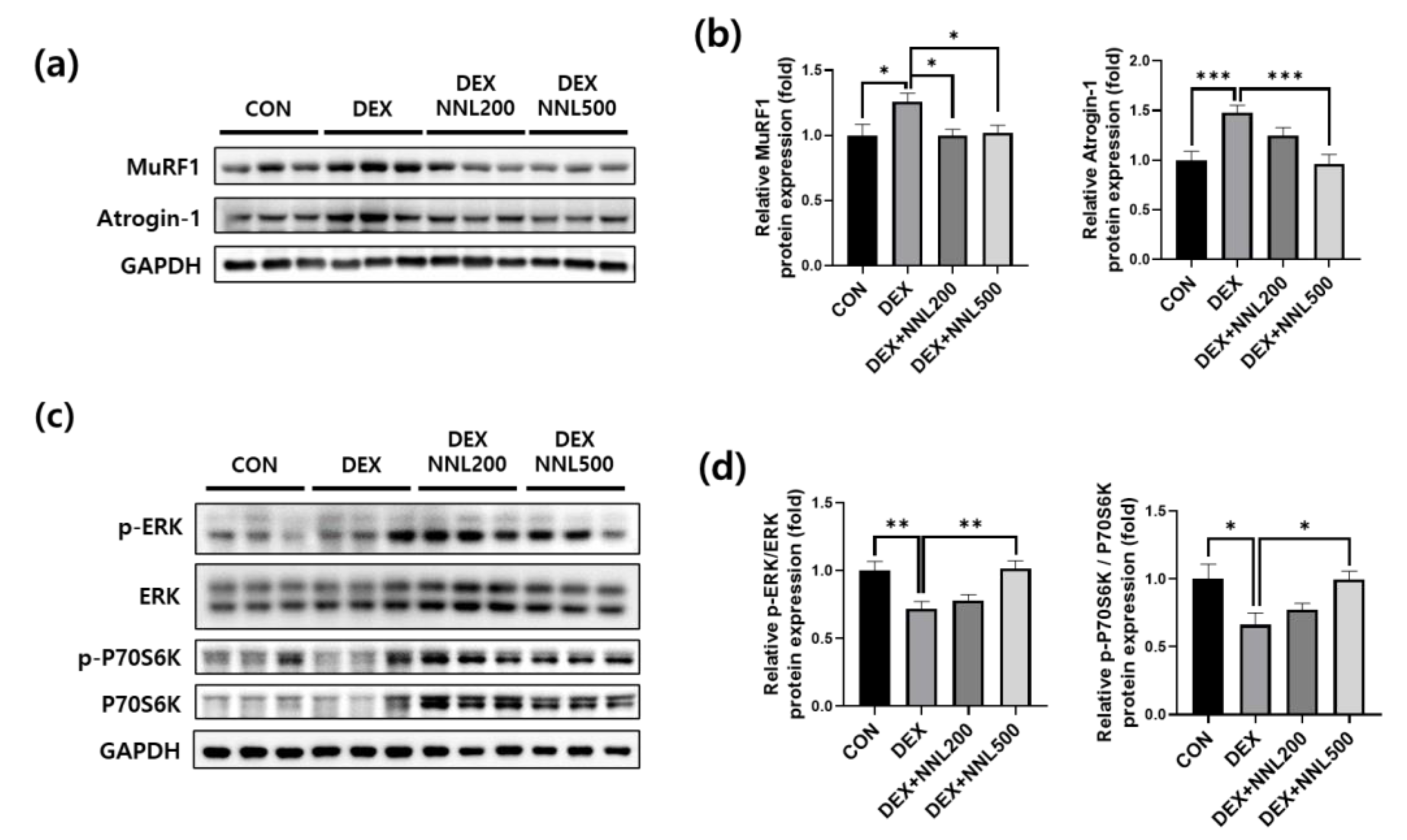 Nutrients 15 00804 g004
