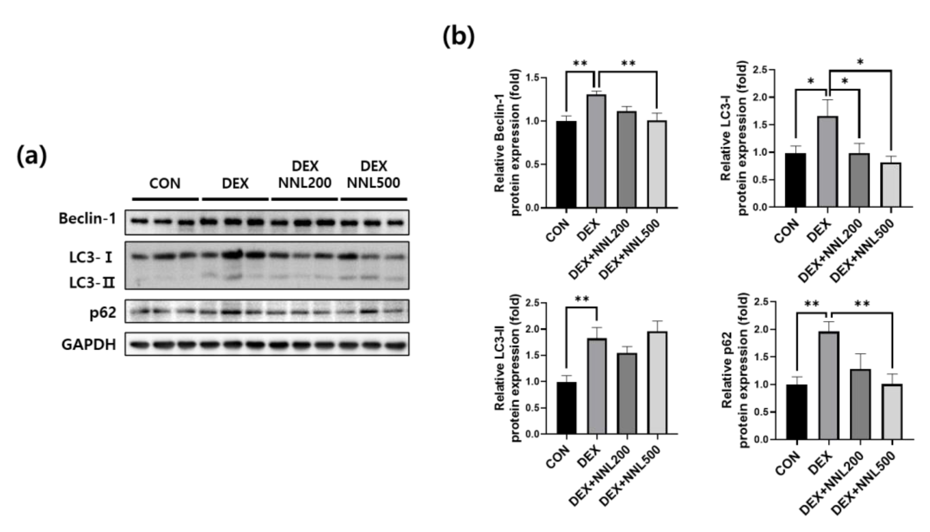 Nutrients 15 00804 g005