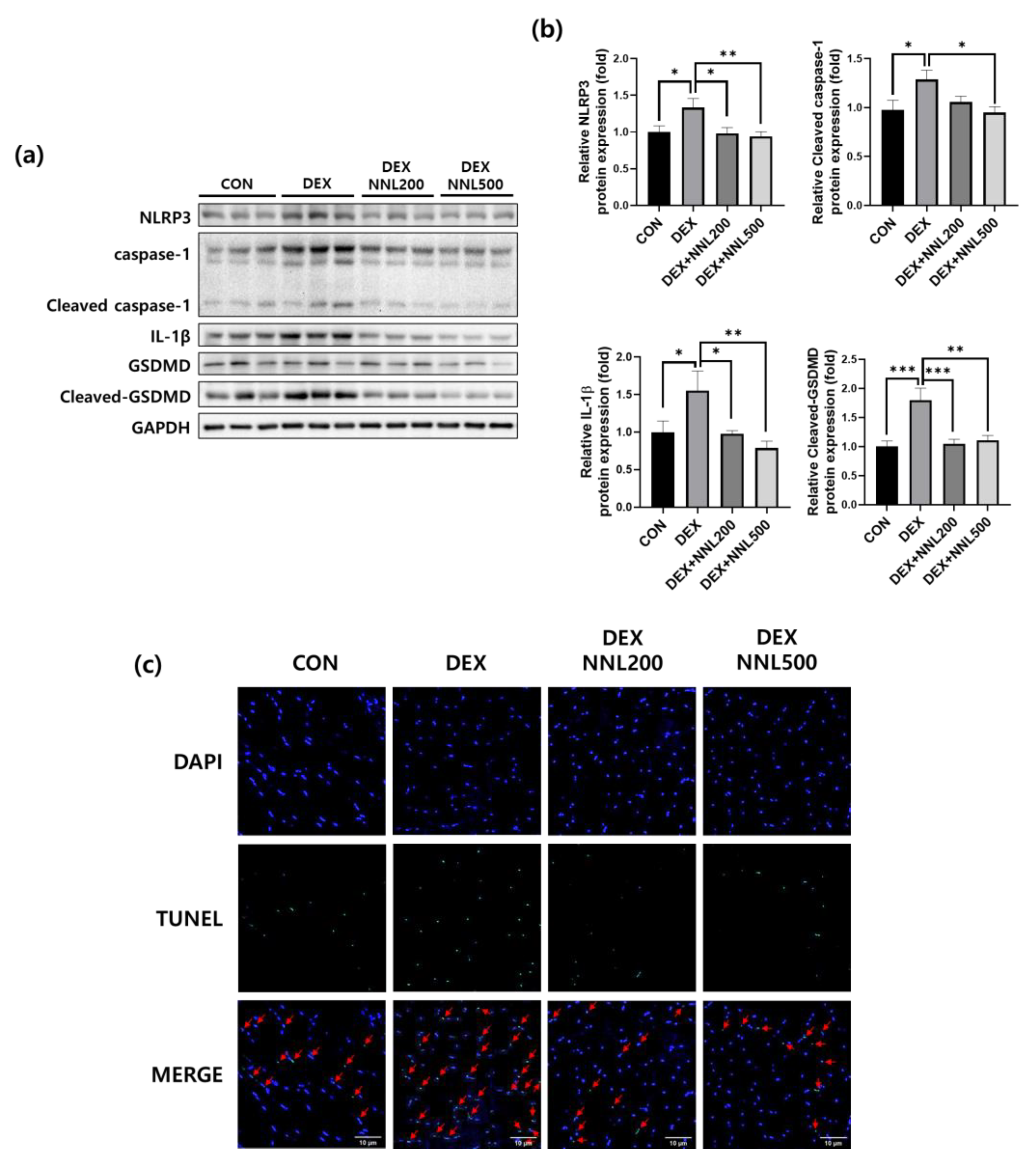 Nutrients 15 00804 g006
