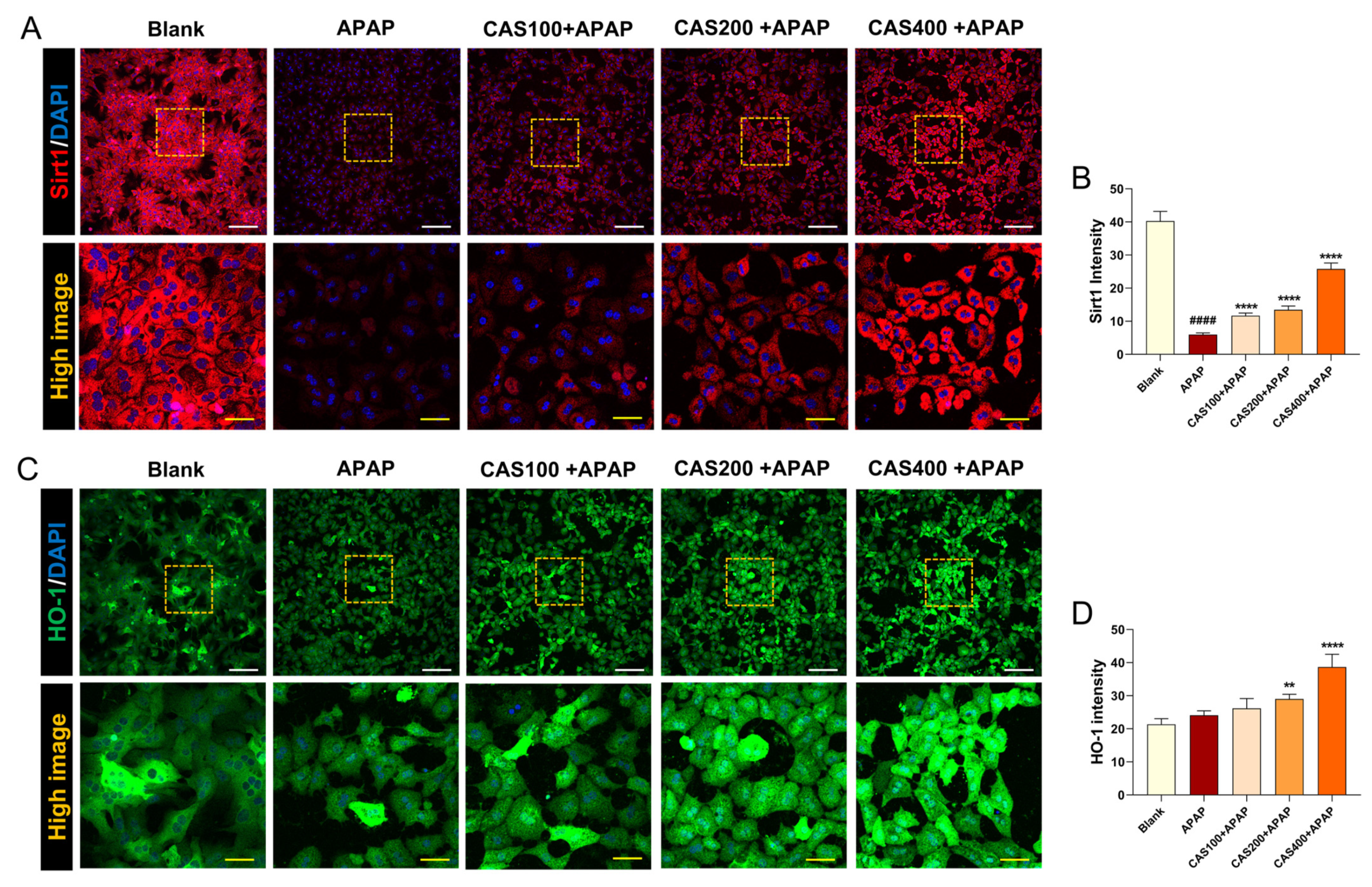 Nutrients 15 00808 g002 Nutrients 15 00808 g002