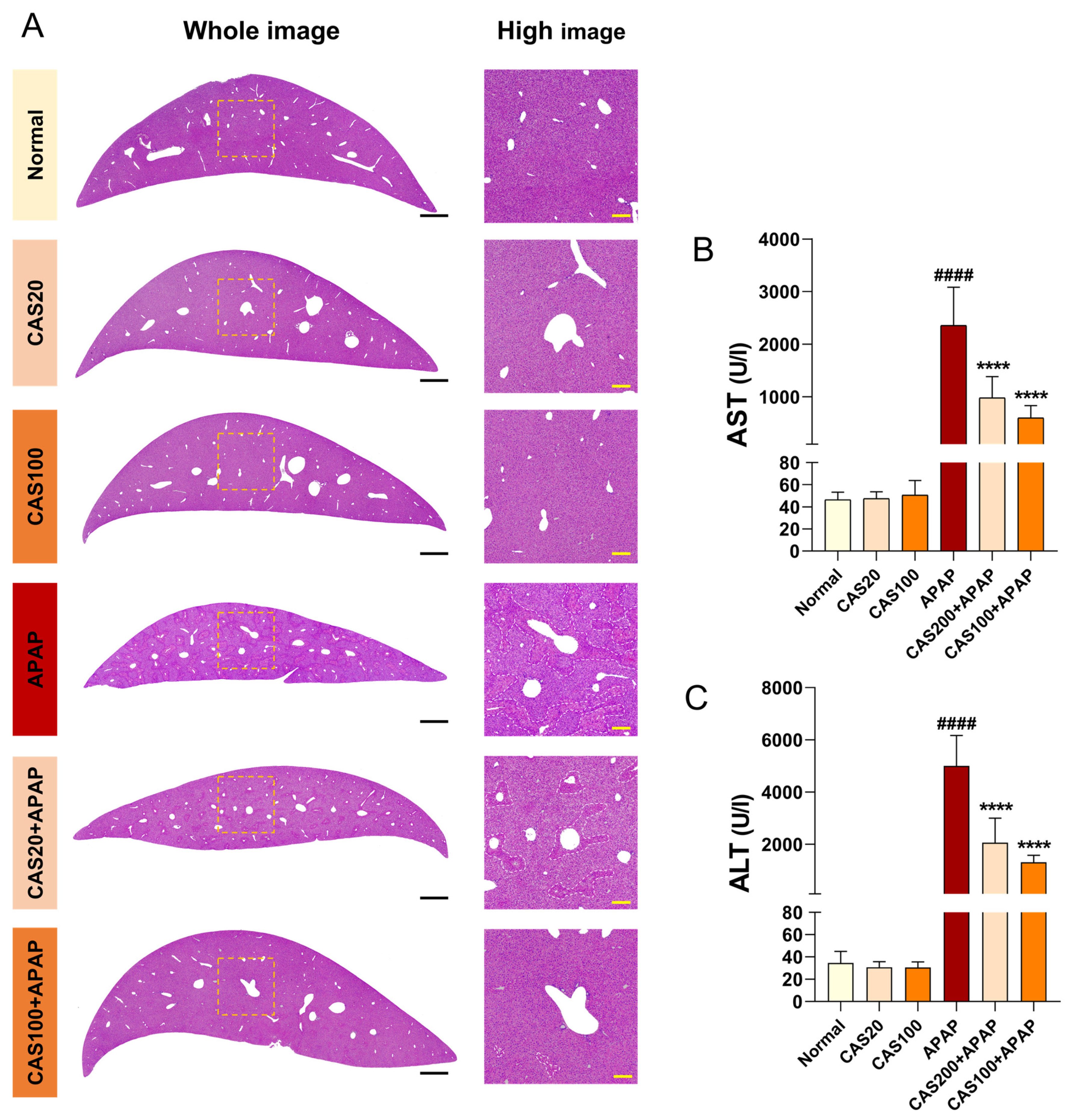 Nutrients 15 00808 g003 Nutrients 15 00808 g003
