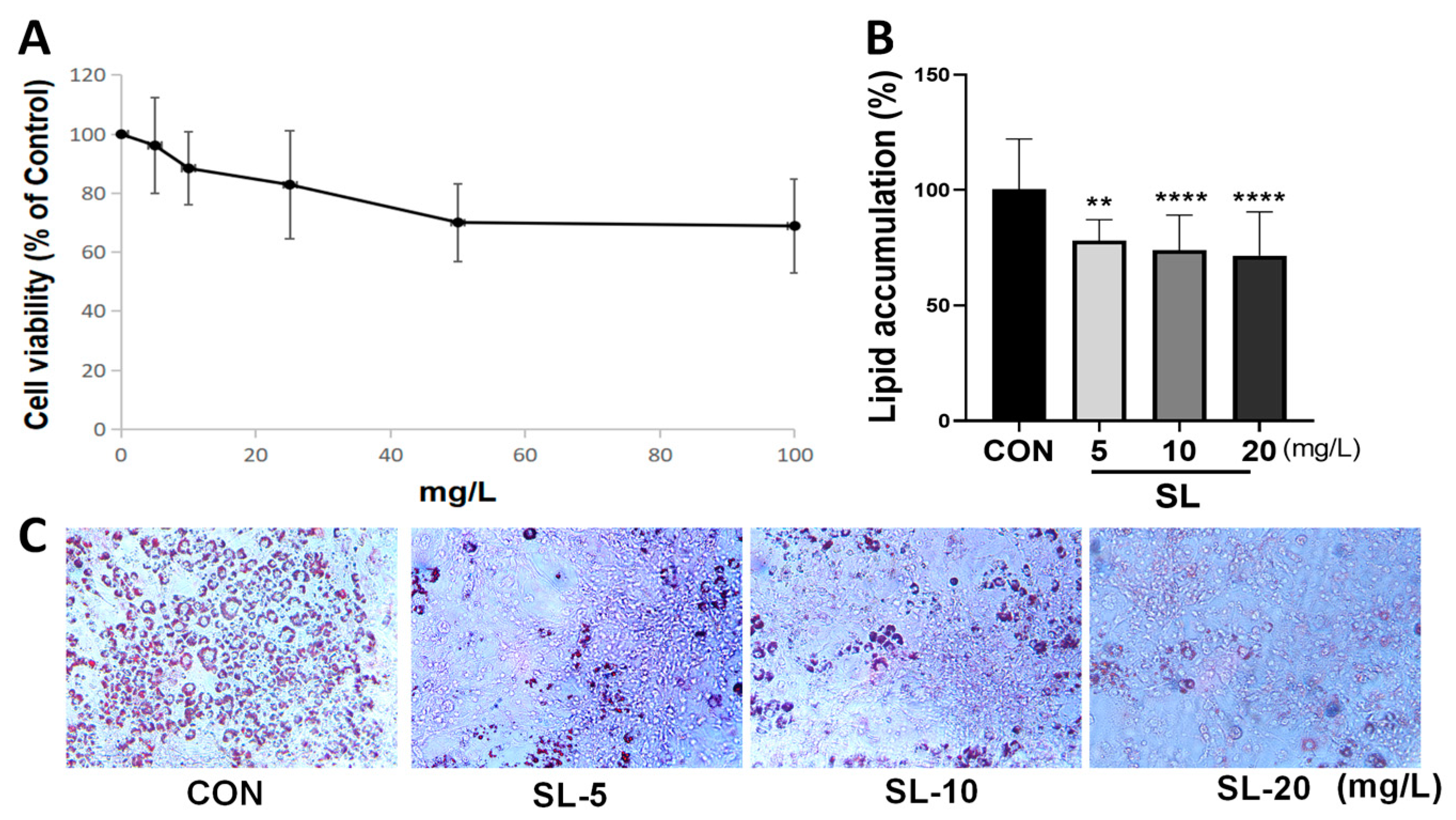 Nutrients 15 00815 g002 Nutrients 15 00815 g002
