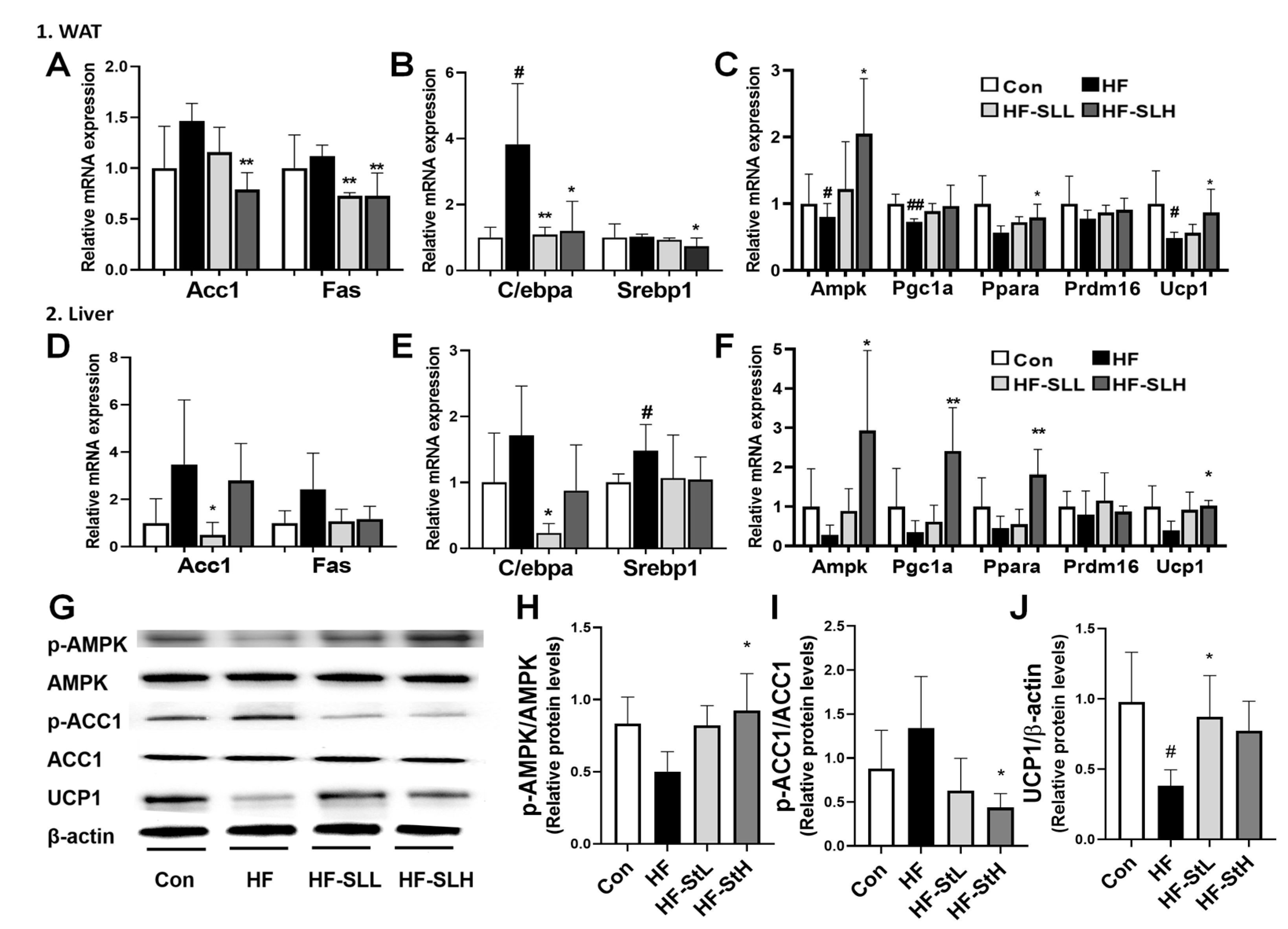 Nutrients 15 00815 g007 Nutrients 15 00815 g007