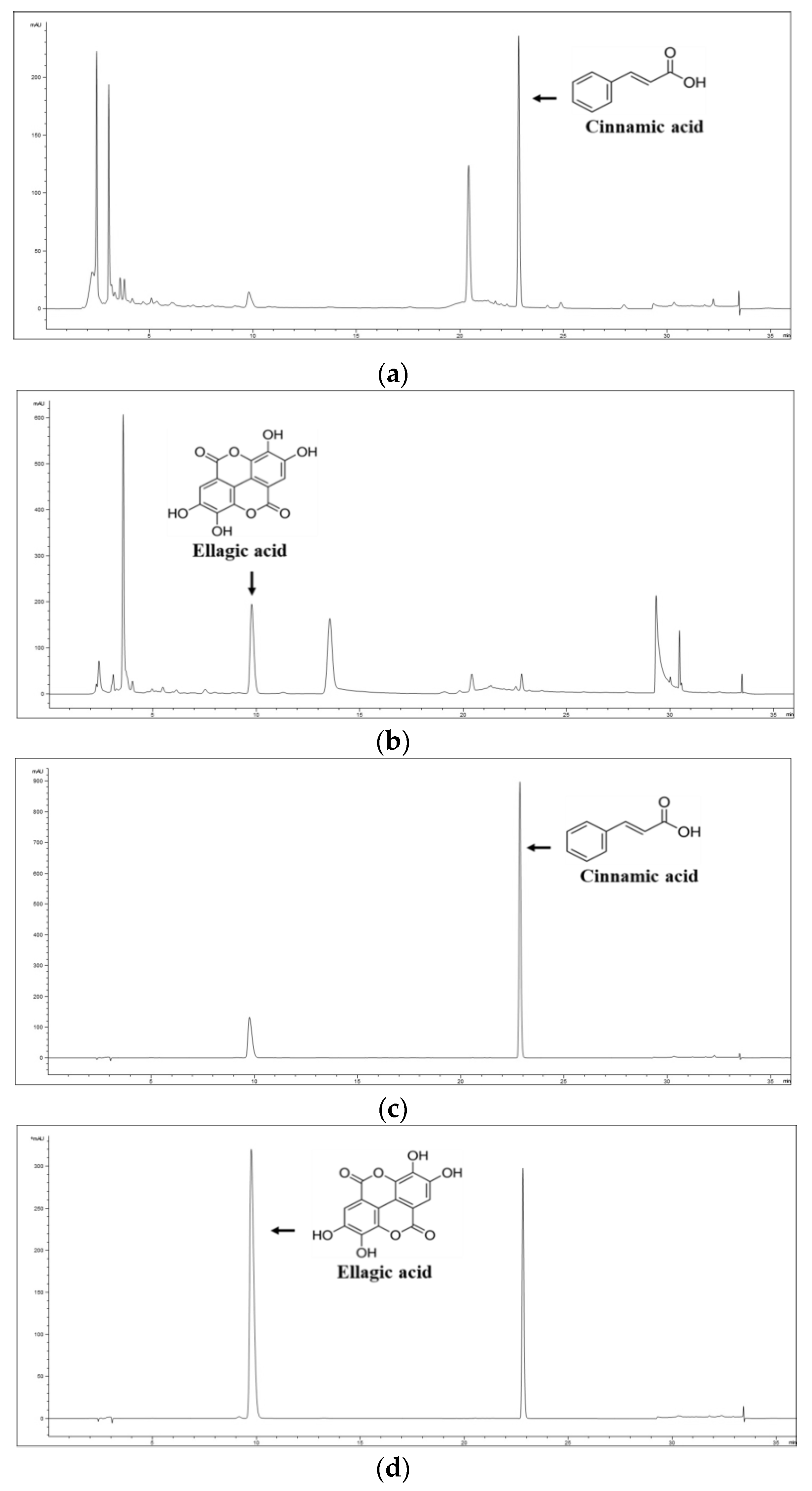 Nutrients 15 00818 g001 Nutrients 15 00818 g001