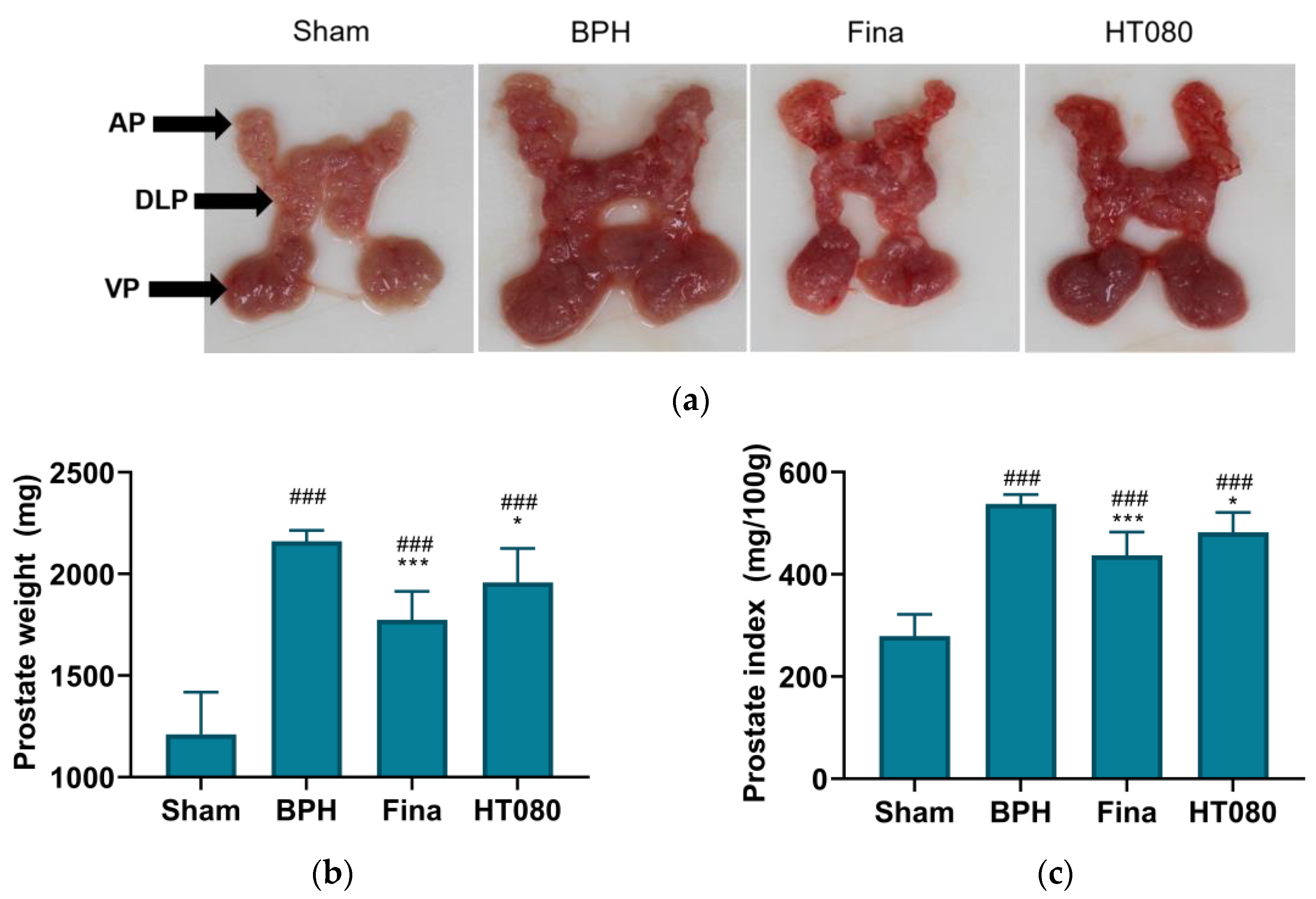 Nutrients 15 00818 g002 Nutrients 15 00818 g002