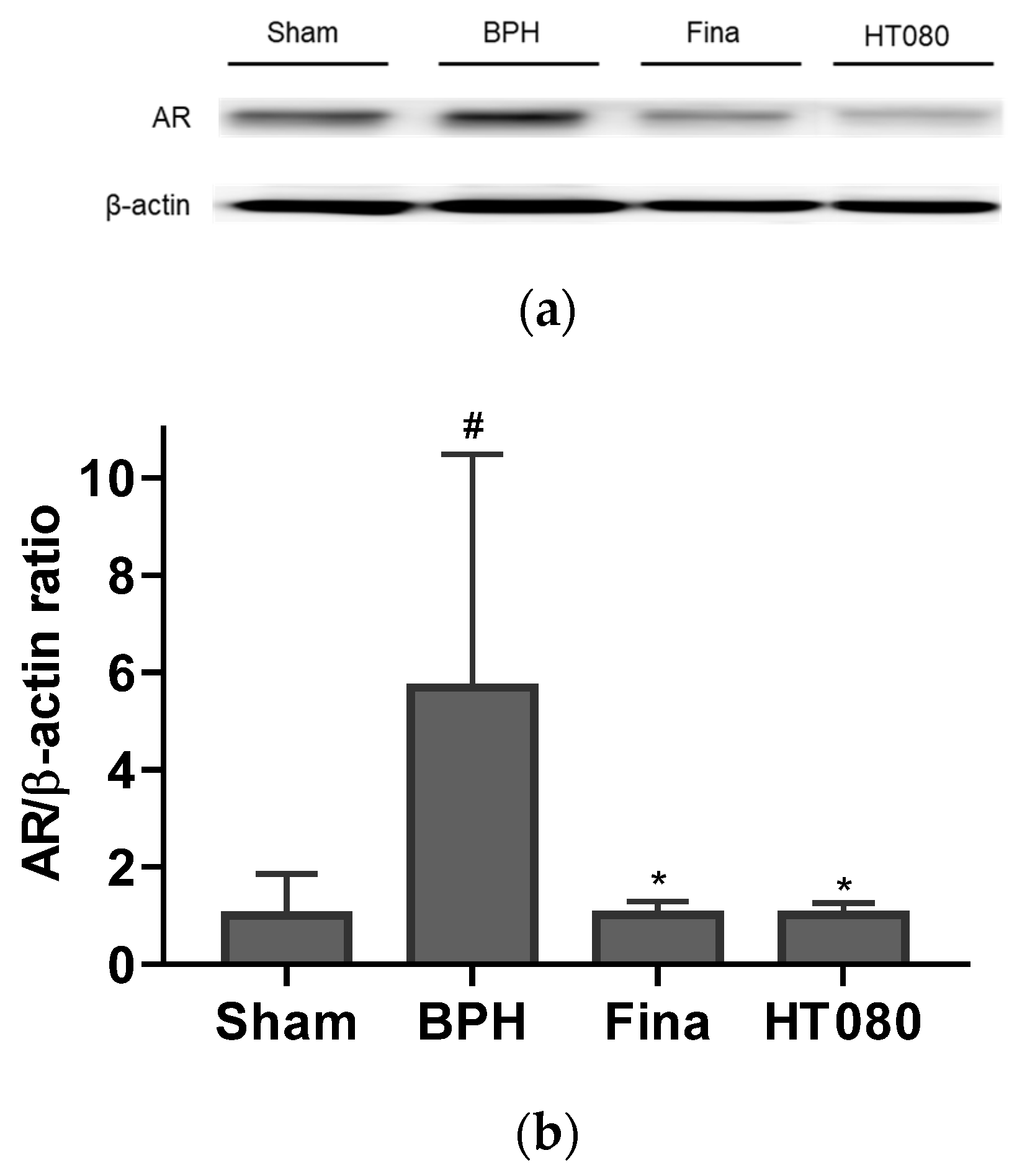 Nutrients 15 00818 g006 Nutrients 15 00818 g006