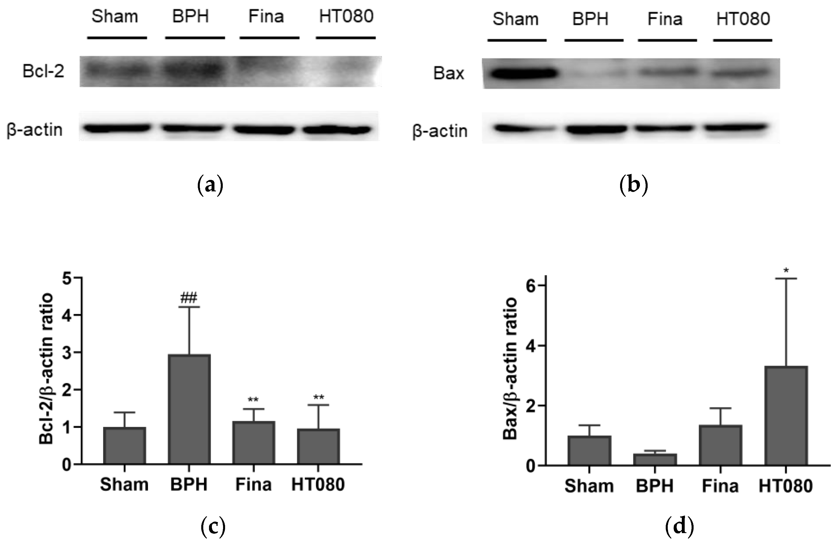 Nutrients 15 00818 g007 Nutrients 15 00818 g007