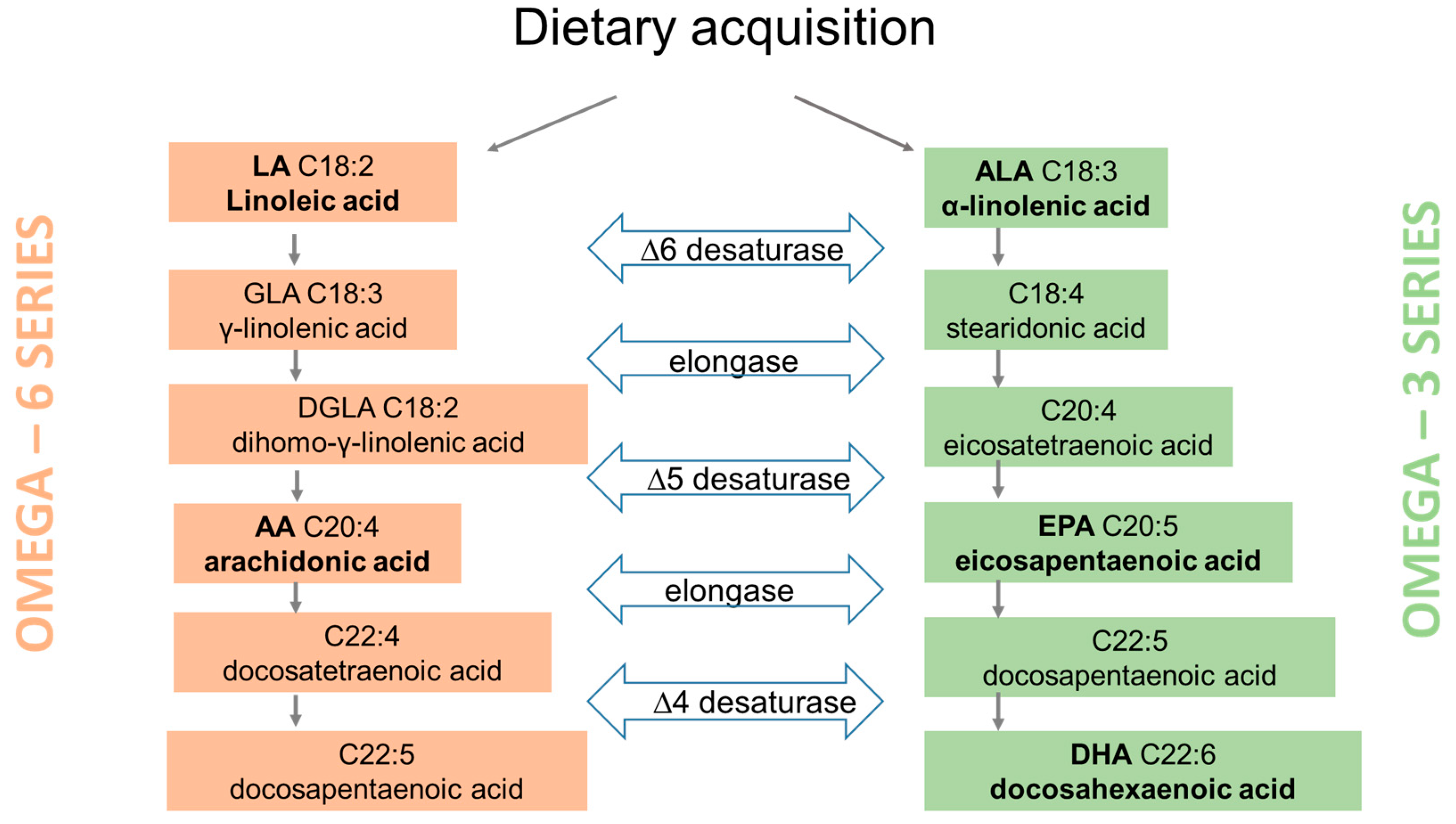 Nutrients Free FullText Polyunsaturated Fatty Acids and Their