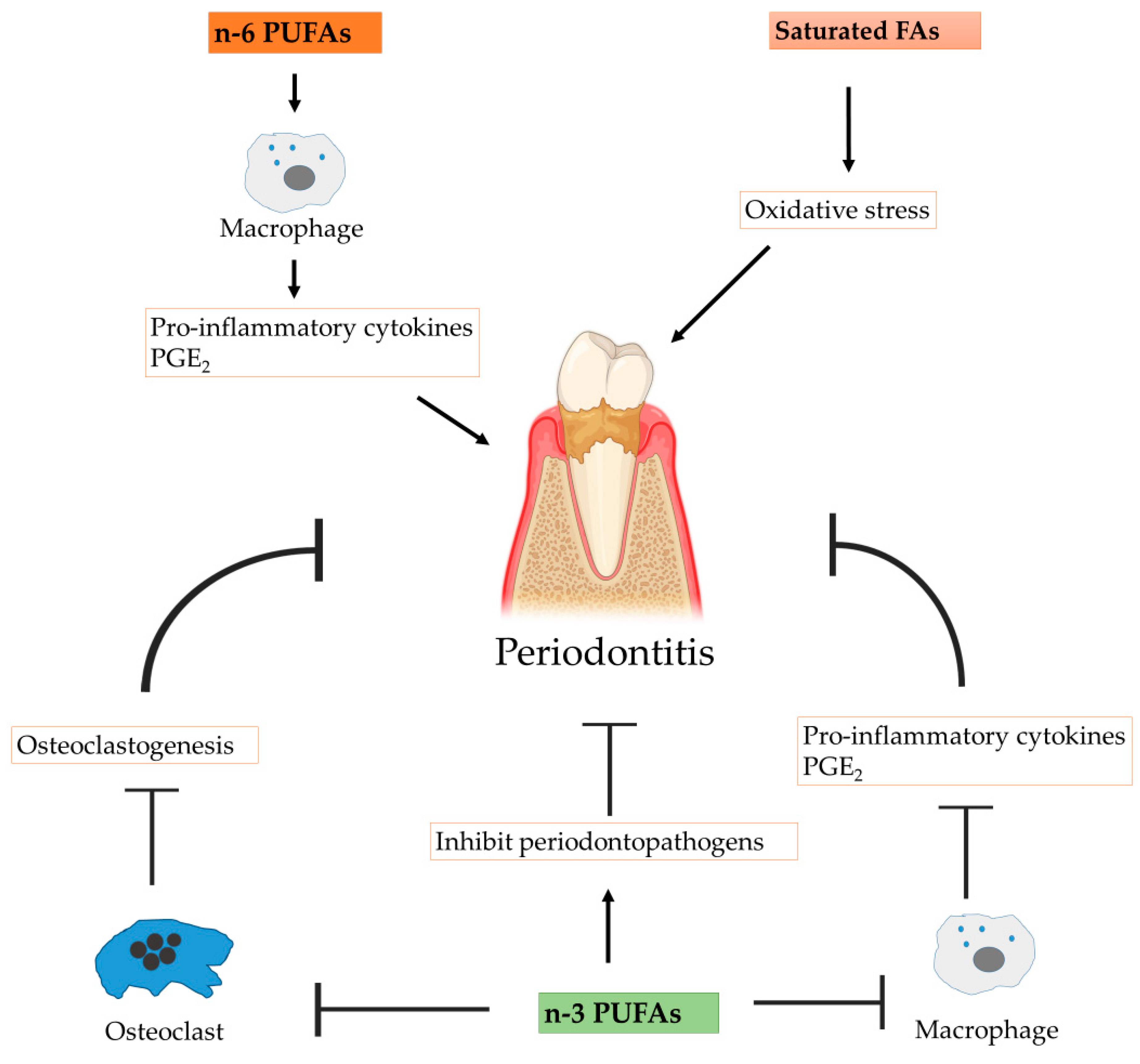 Nutrients 15 00821 g003 Nutrients 15 00821 g003