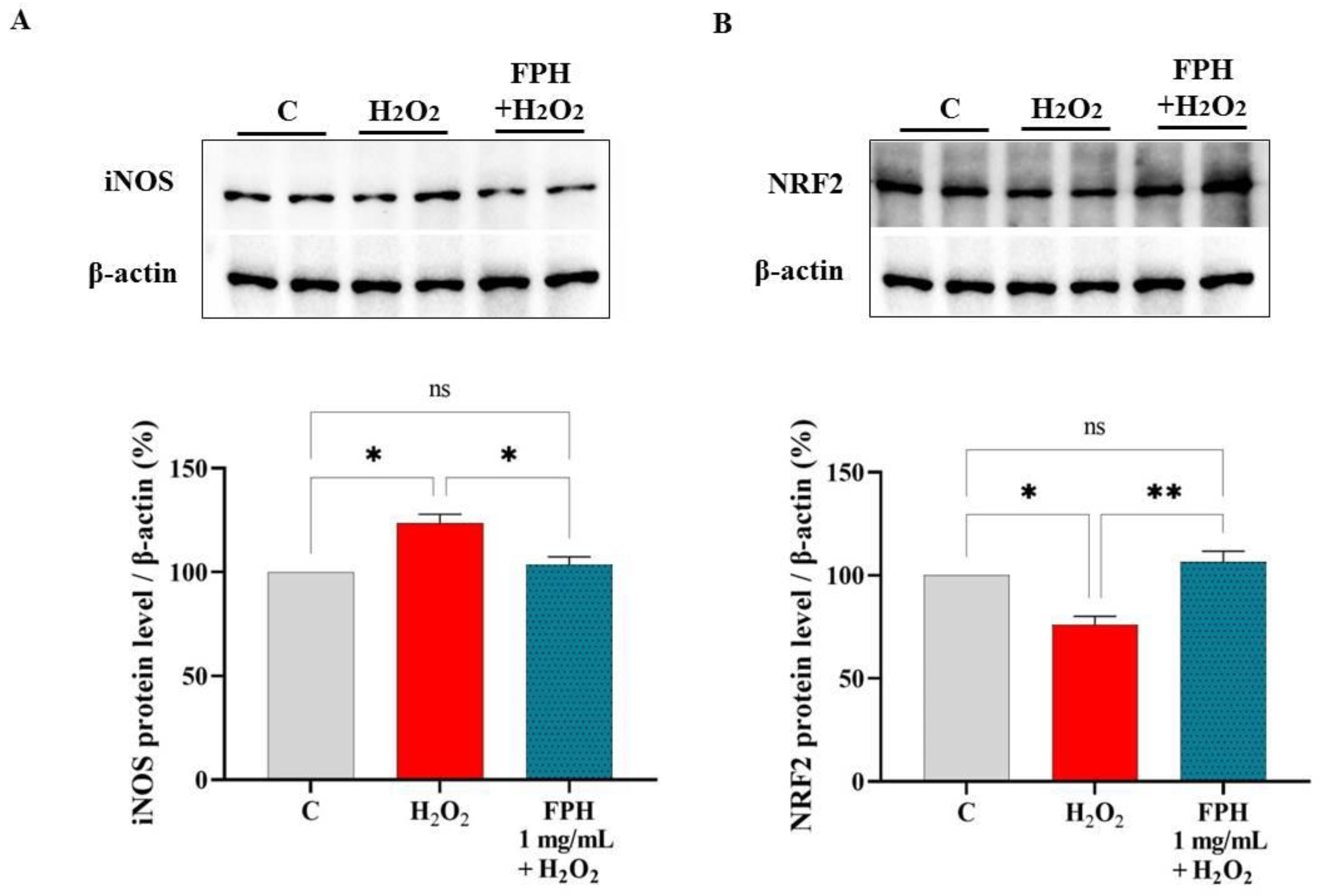 Nutrients 15 00829 g005 Nutrients 15 00829 g005