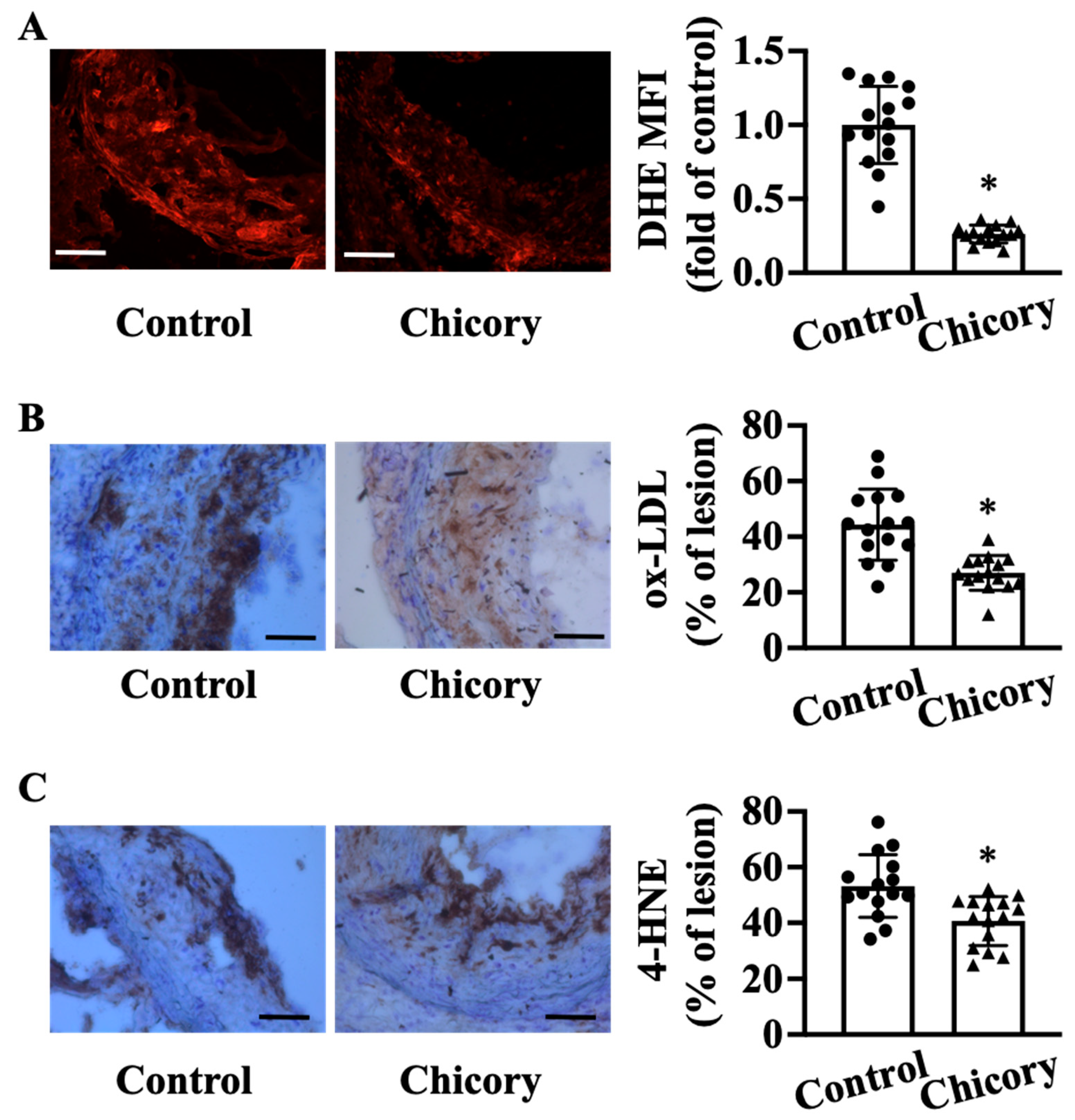 Nutrients 15 00832 g004 Nutrients 15 00832 g004