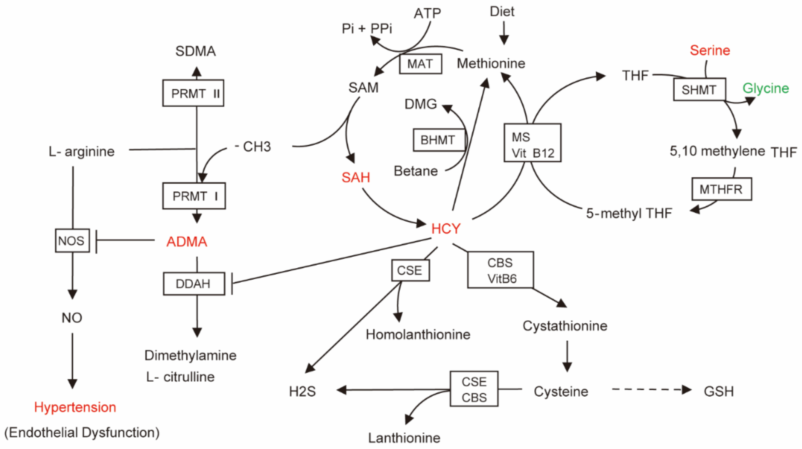 Nutrients 15 00836 g007 Nutrients 15 00836 g007