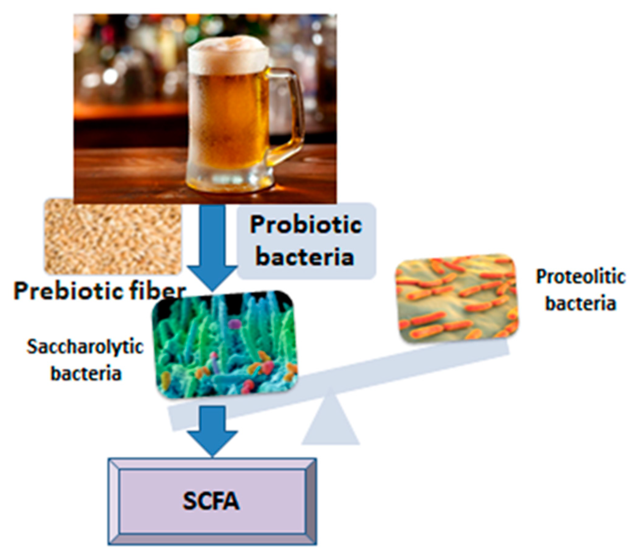 Beer and Microbiota: Pathways for a Positive and Healthy