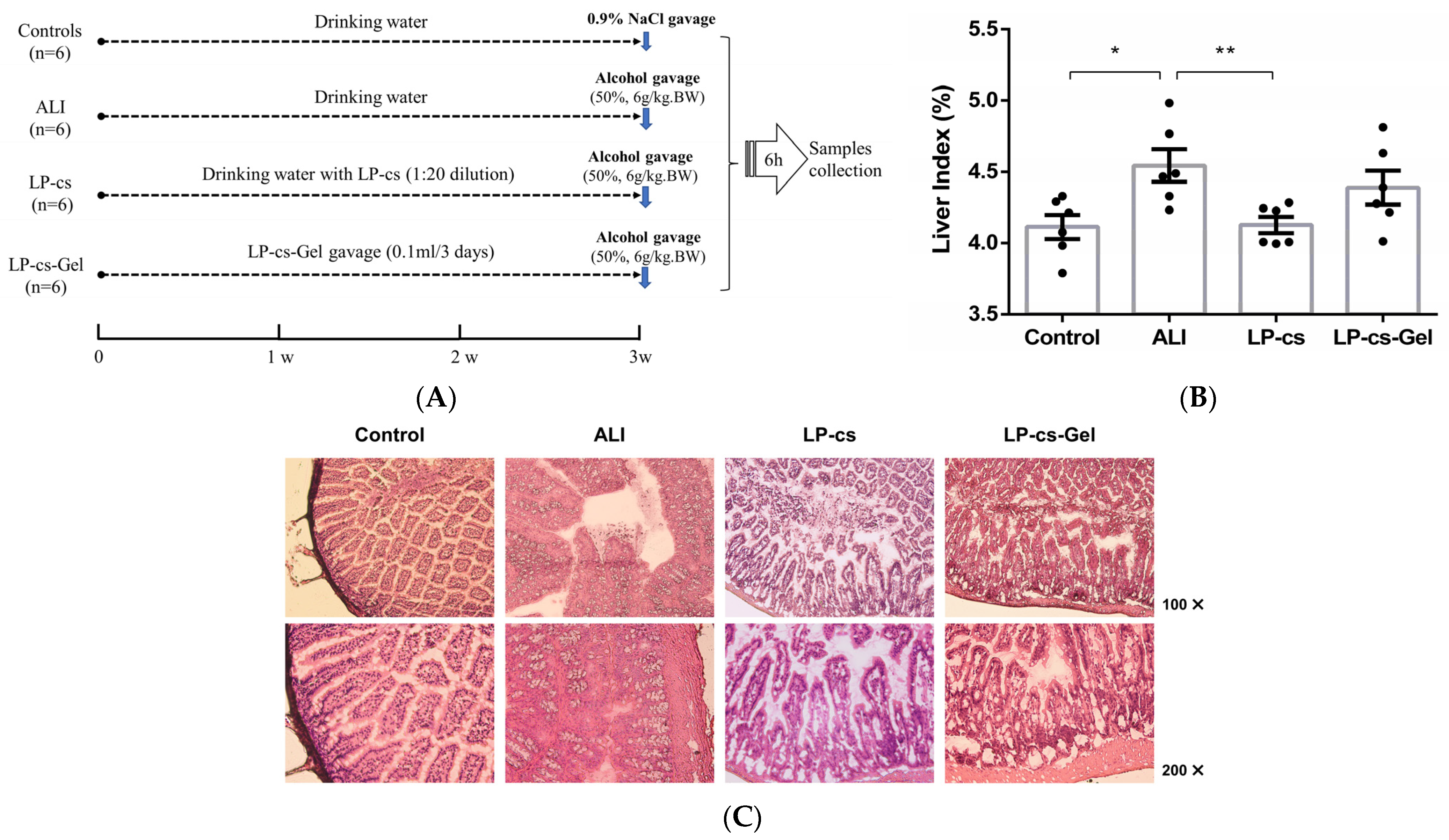 Nutrients 15 00845 g003 Nutrients 15 00845 g003