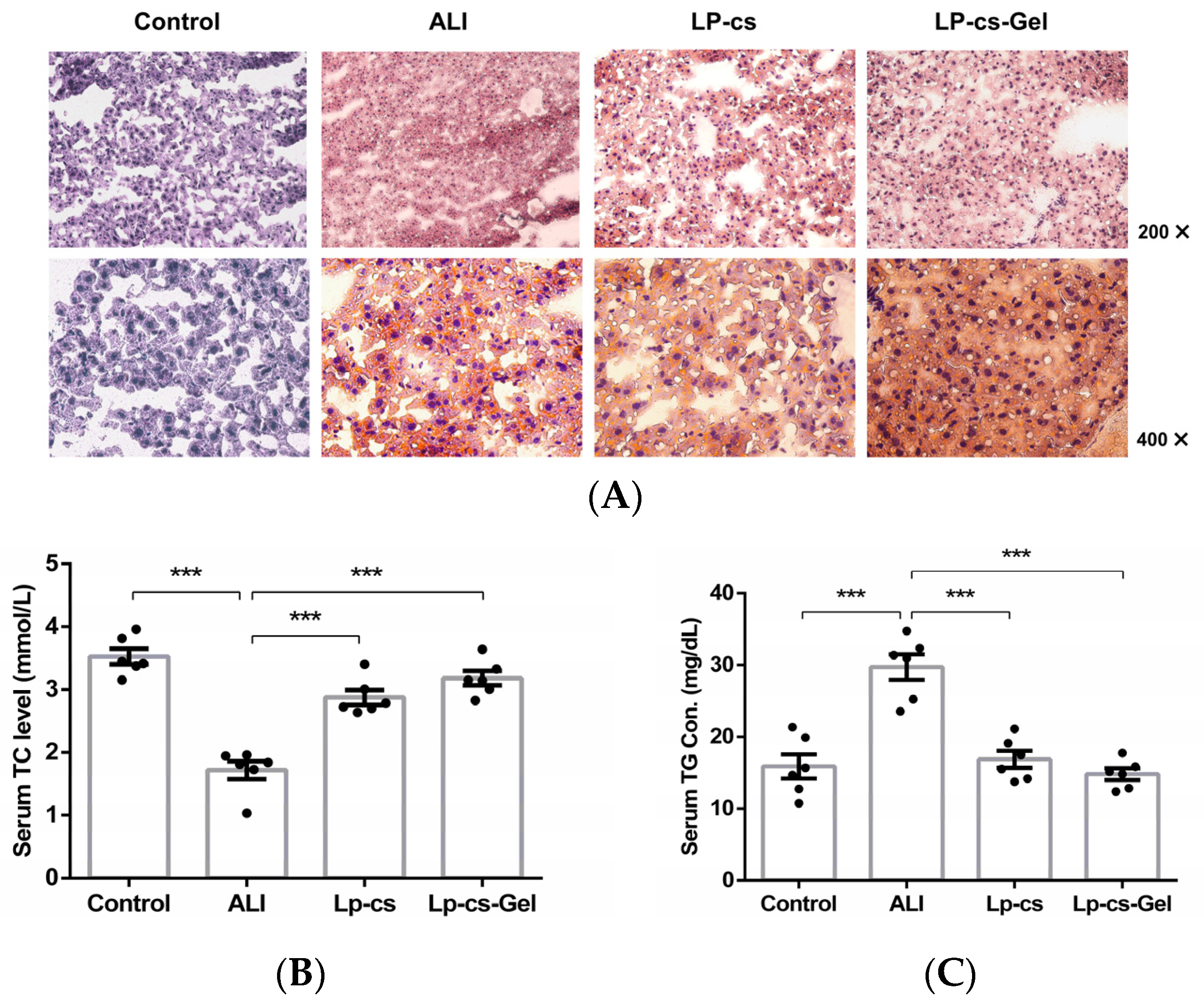 Nutrients 15 00845 g006 Nutrients 15 00845 g006