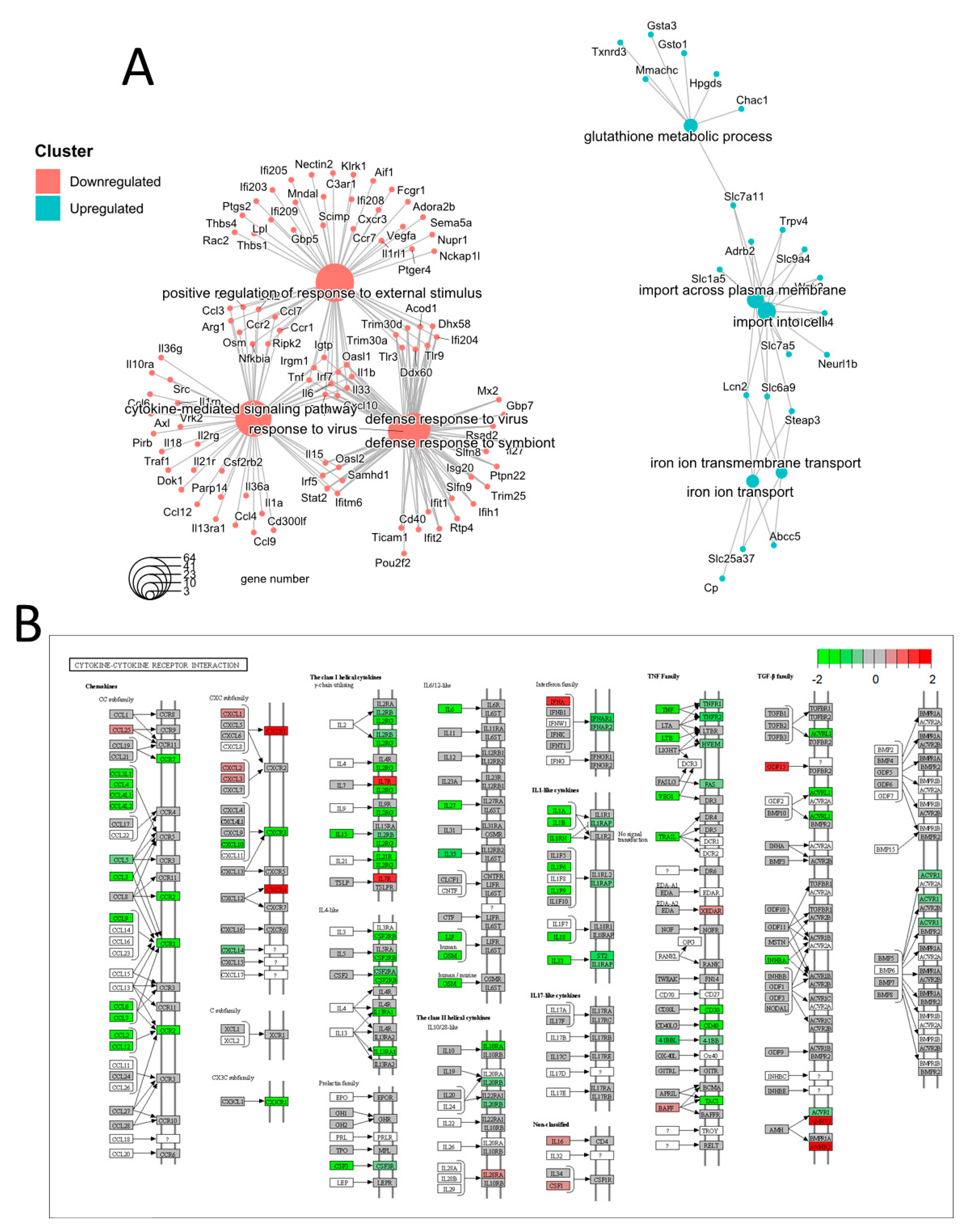 Nutrients 15 00859 g003 Nutrients 15 00859 g003