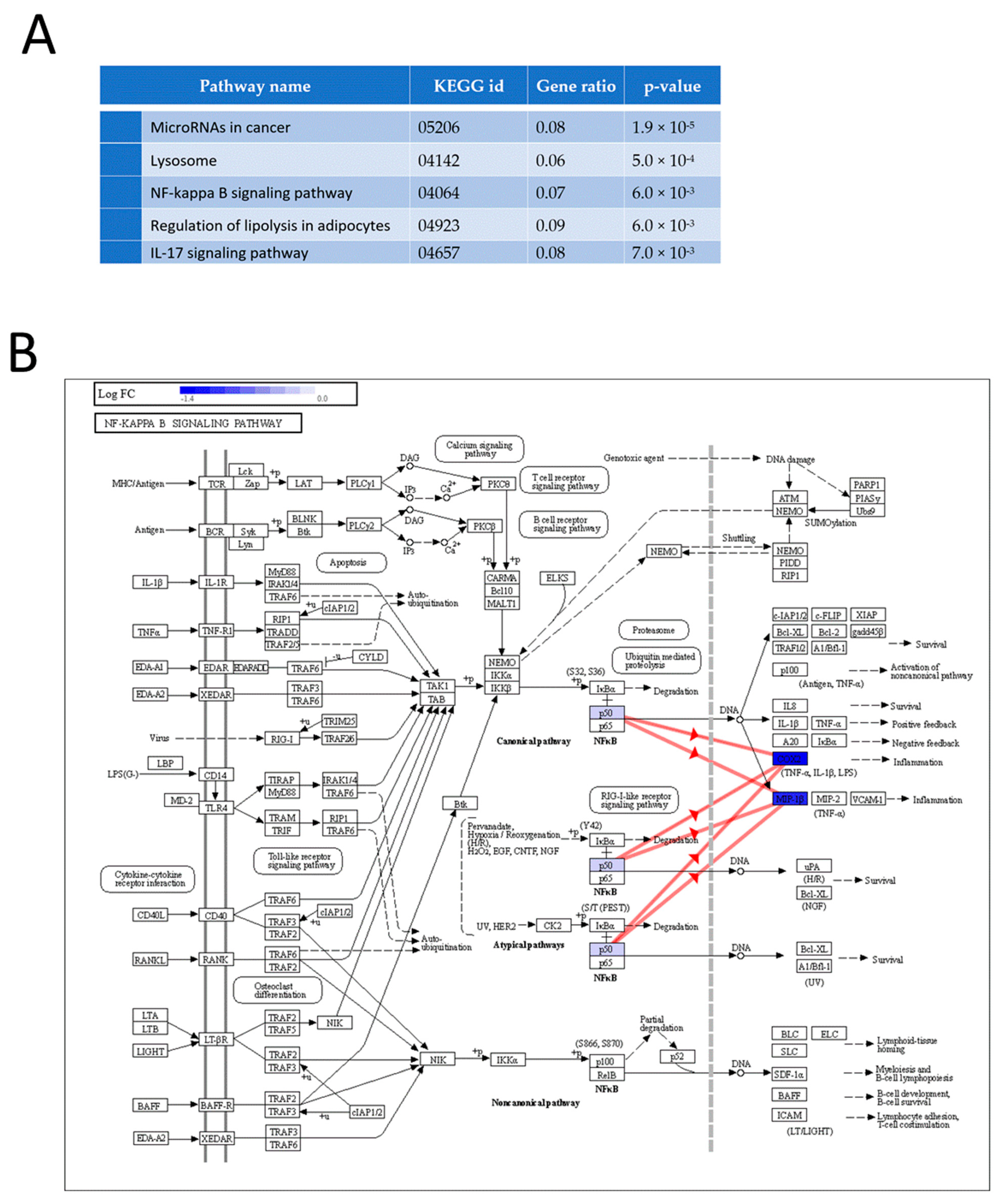 Nutrients 15 00859 g005 Nutrients 15 00859 g005