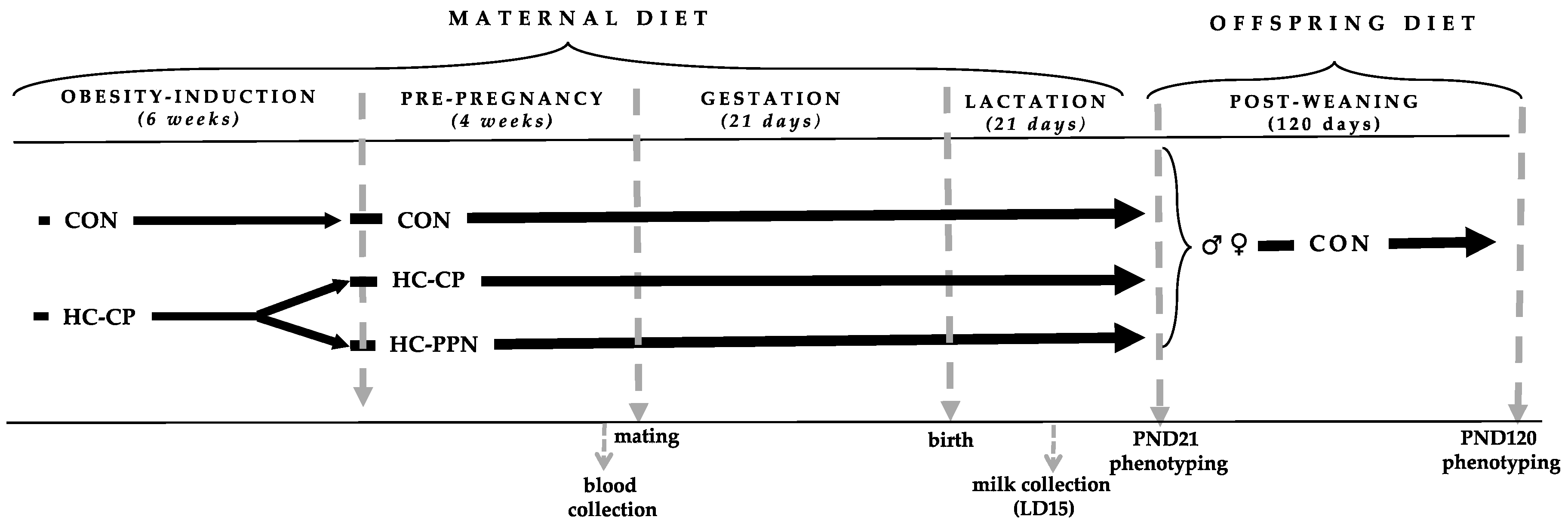 Nutrients 15 00867 g001