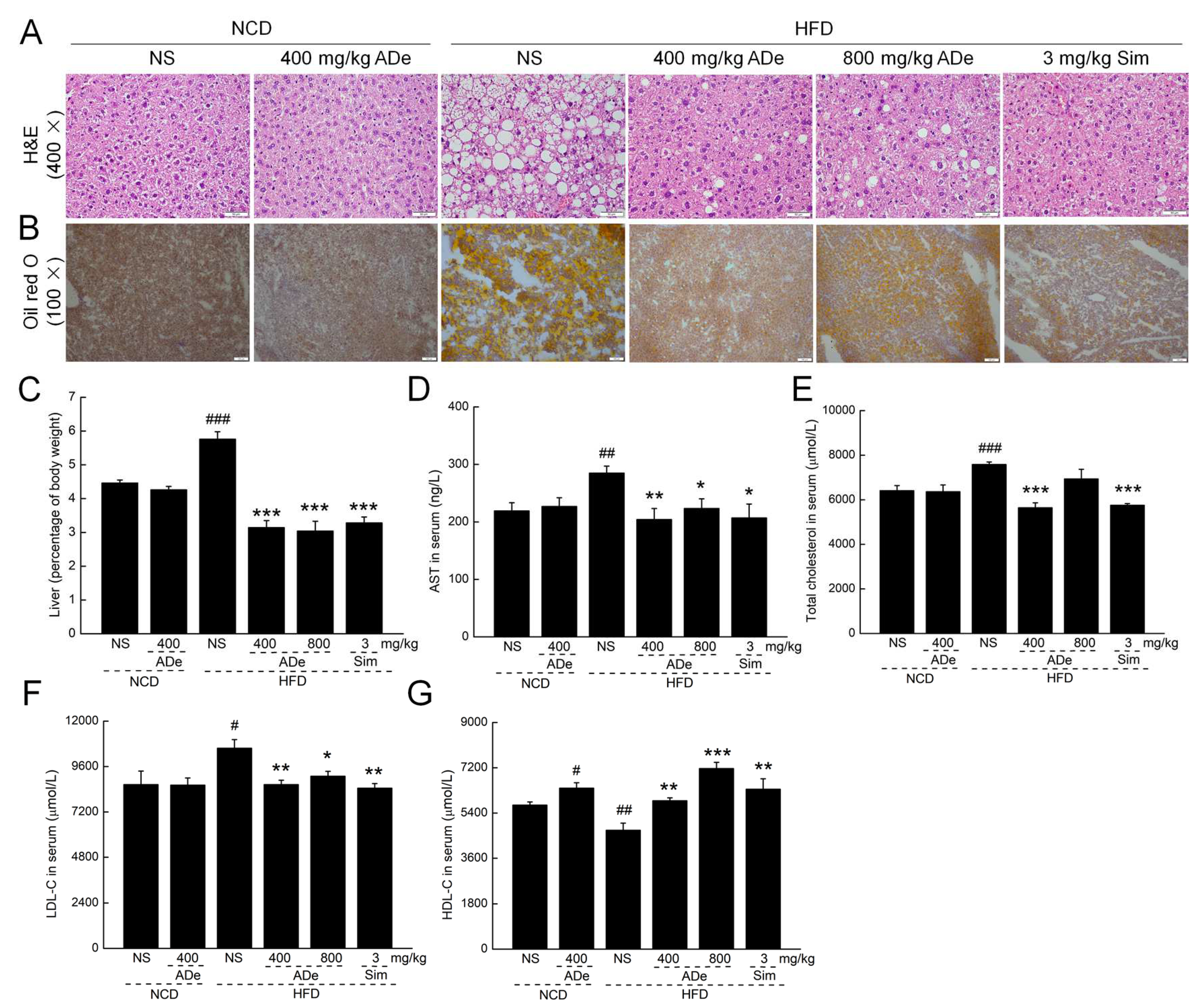 Nutrients 15 00872 g002 Nutrients 15 00872 g002