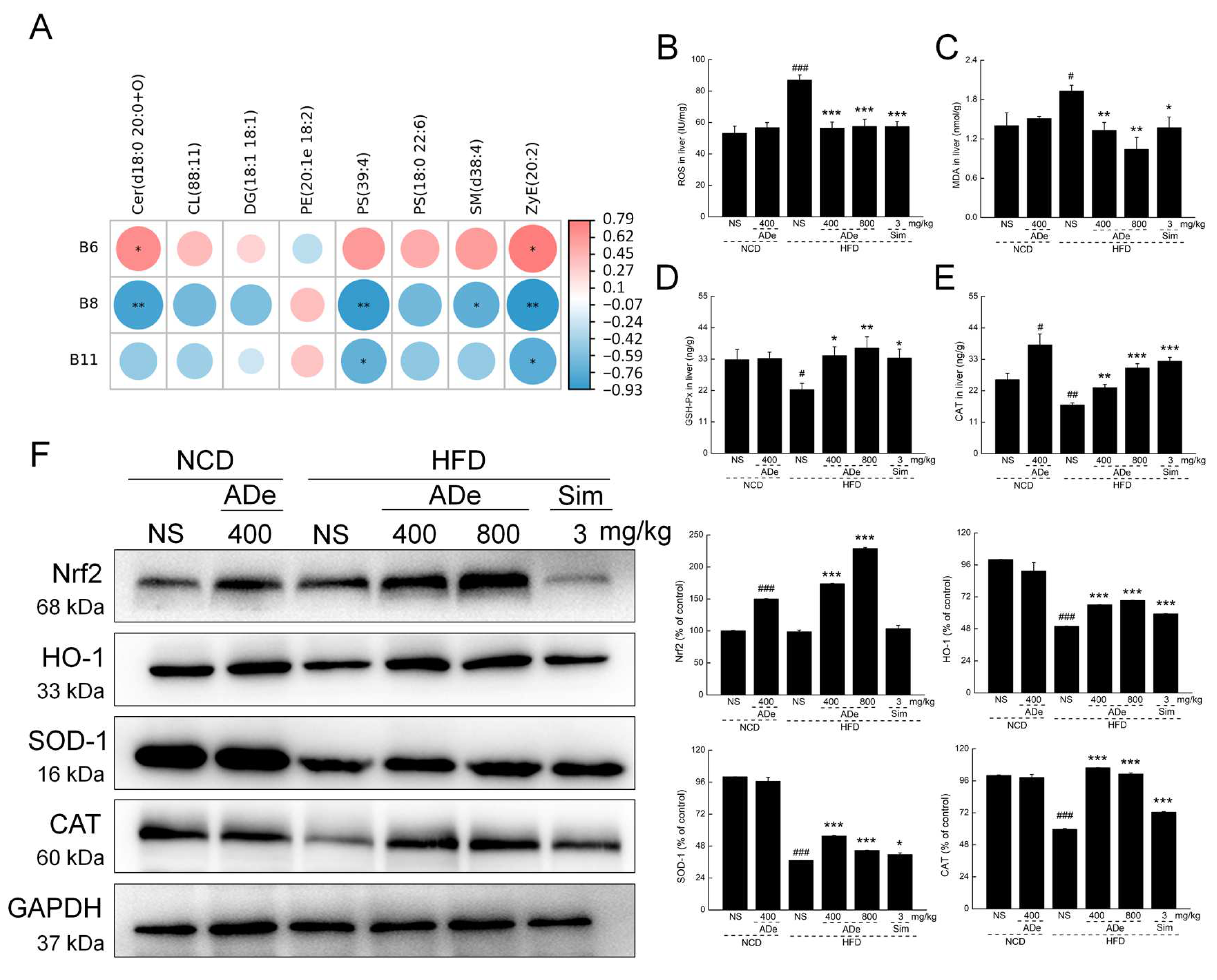 Nutrients 15 00872 g006 Nutrients 15 00872 g006