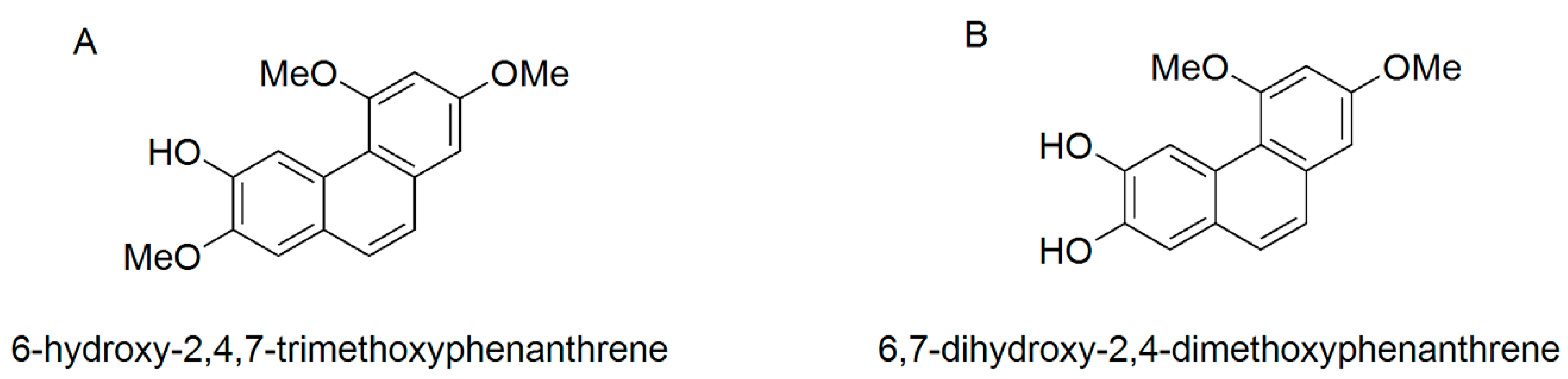 Nutrients 15 00883 g001 Nutrients 15 00883 g001