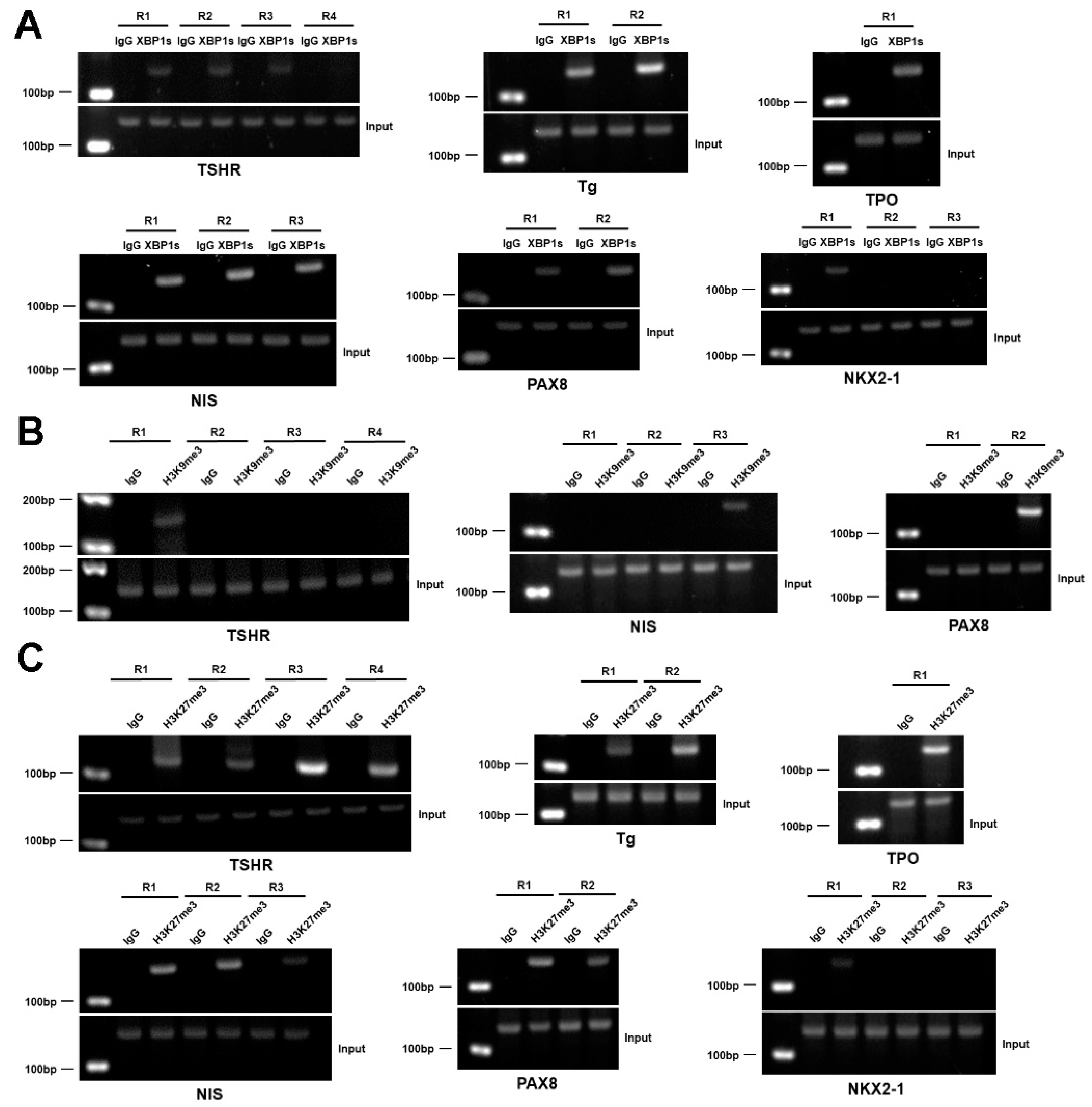 Nutrients 15 00887 g007 550