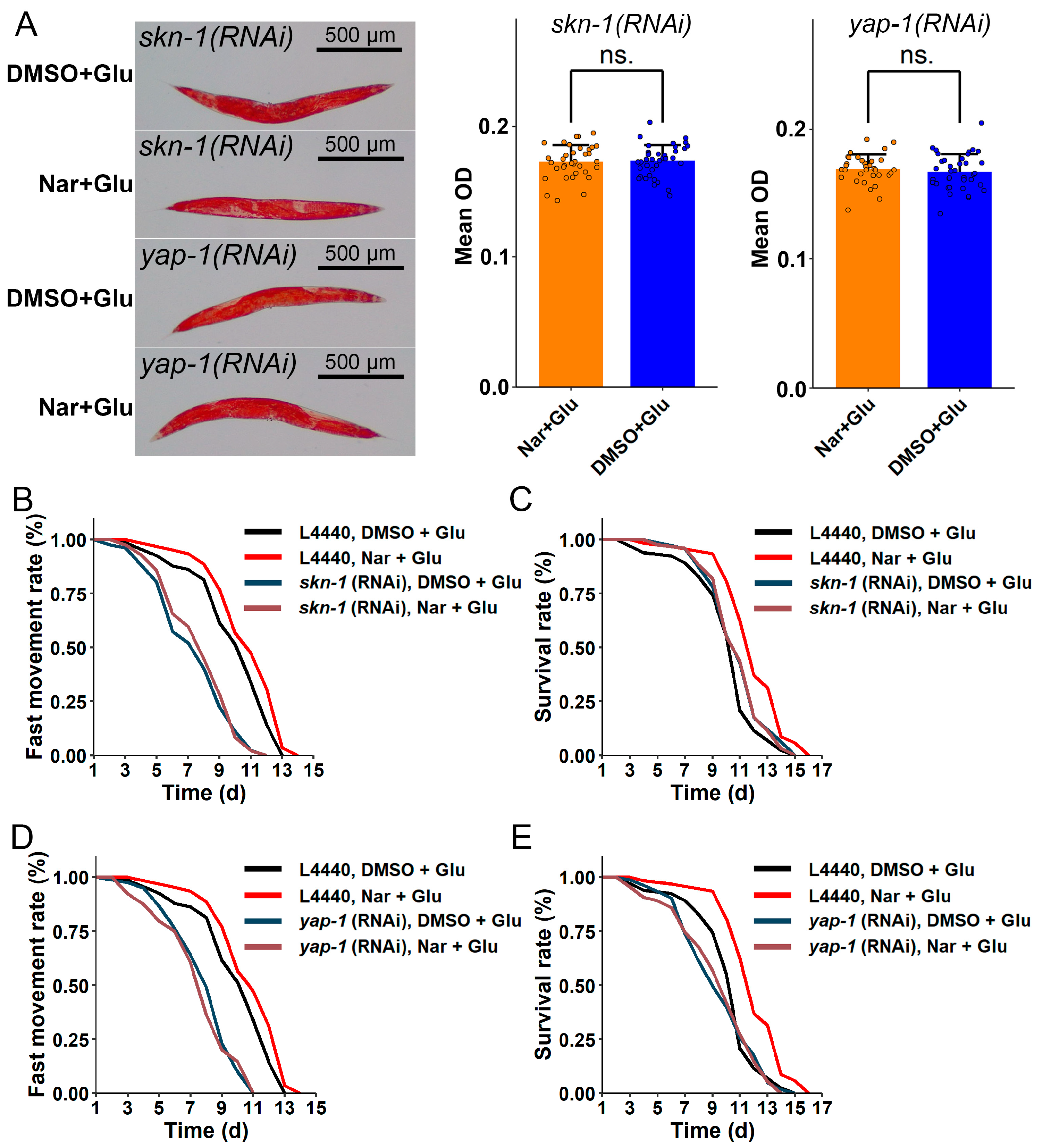 Nutrients 15 00907 g008 Nutrients 15 00907 g008