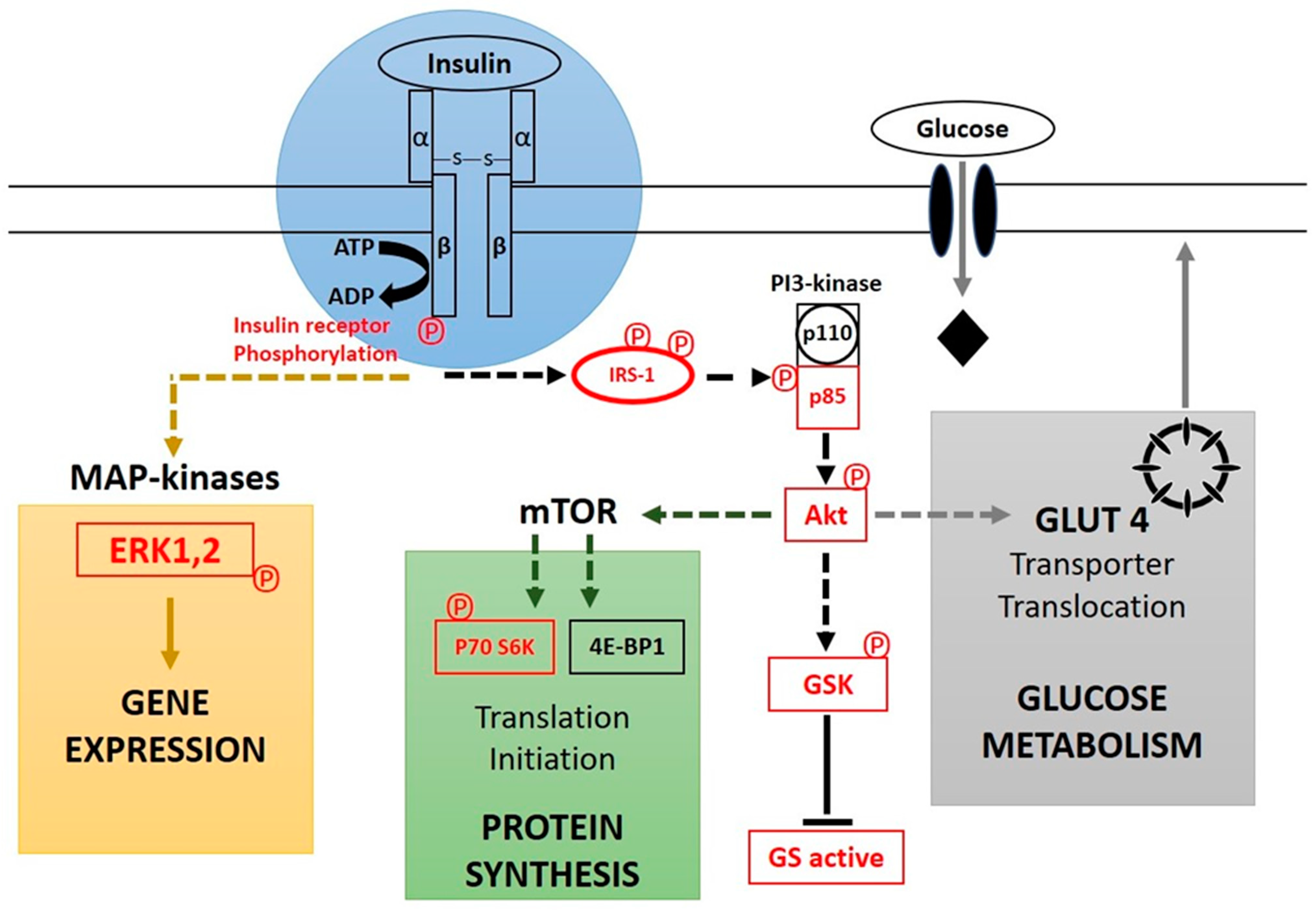 Nutrients 15 00921 g001 Nutrients 15 00921 g001