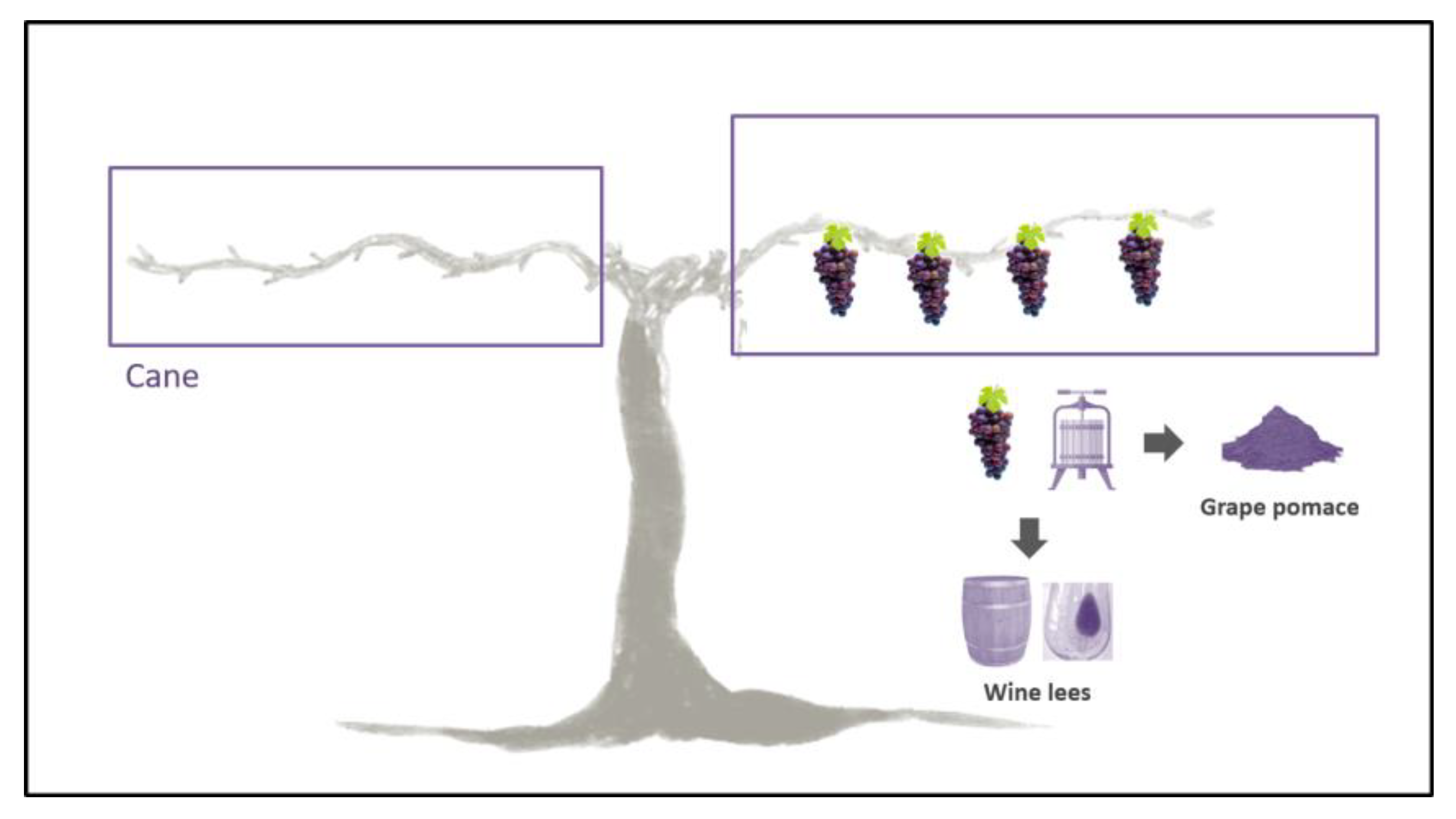 Nutrients 15 00928 g002